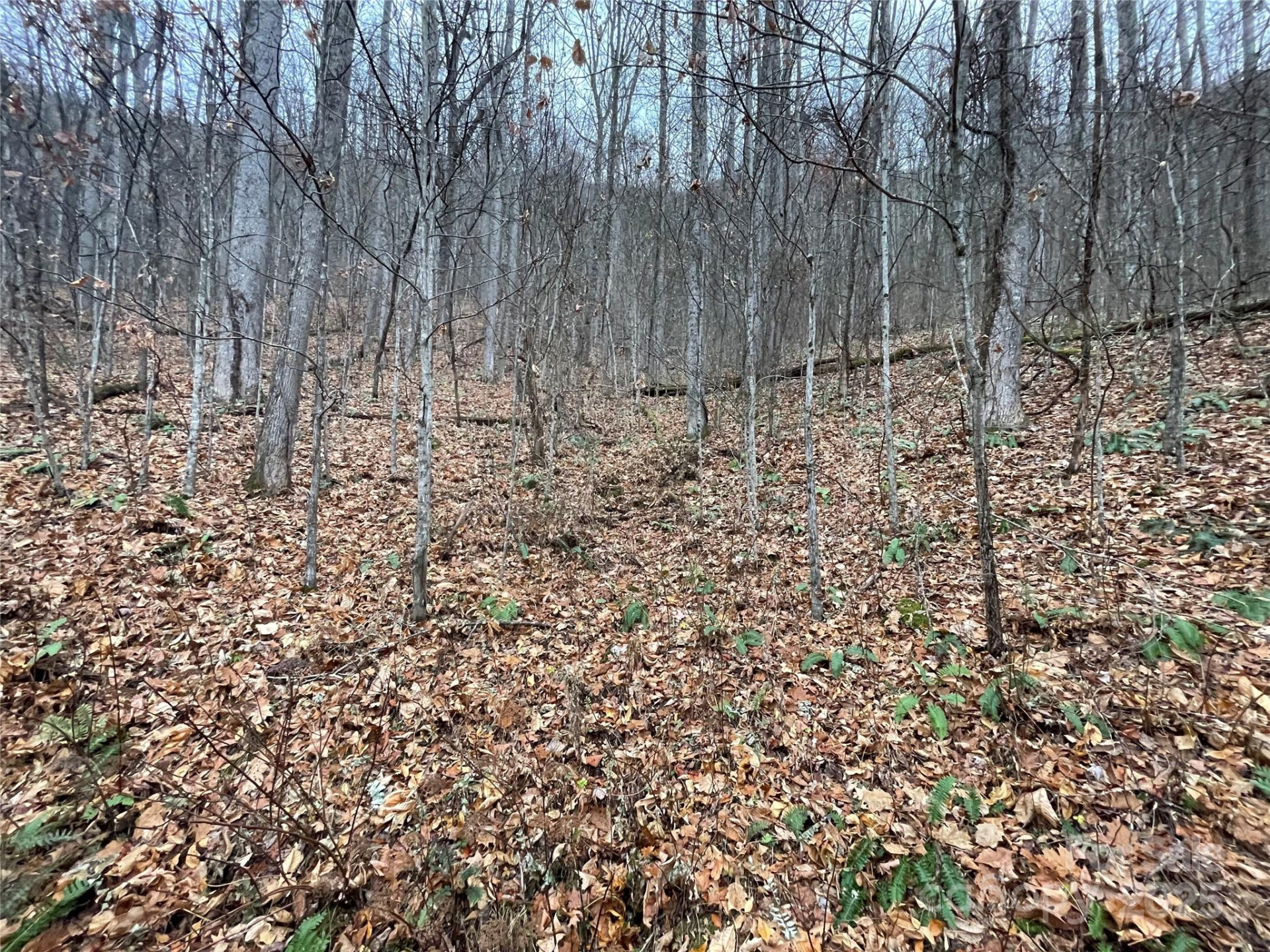 805 Sparkling Falls Road - Photo 4