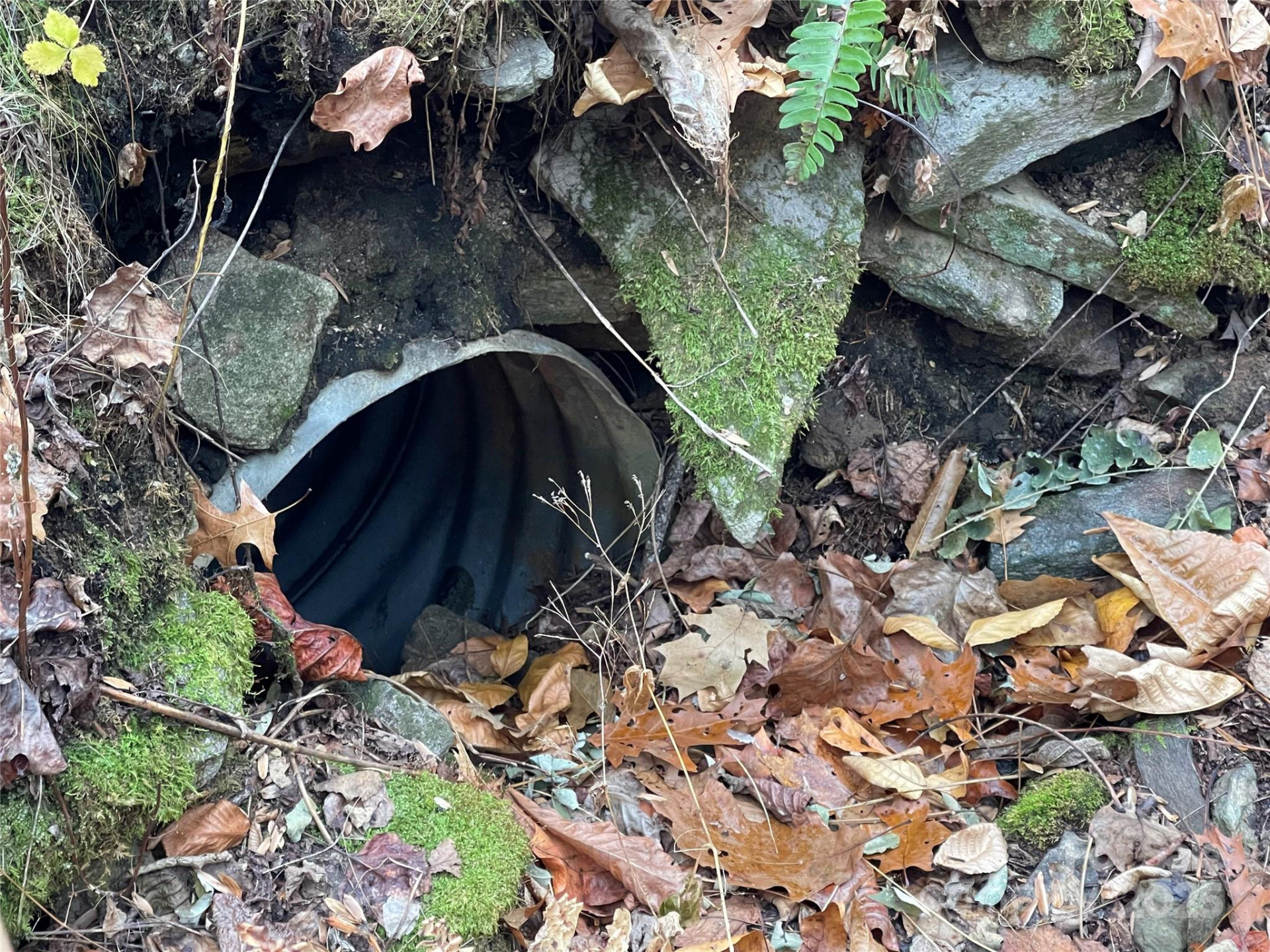 805 Sparkling Falls Road - Photo 31