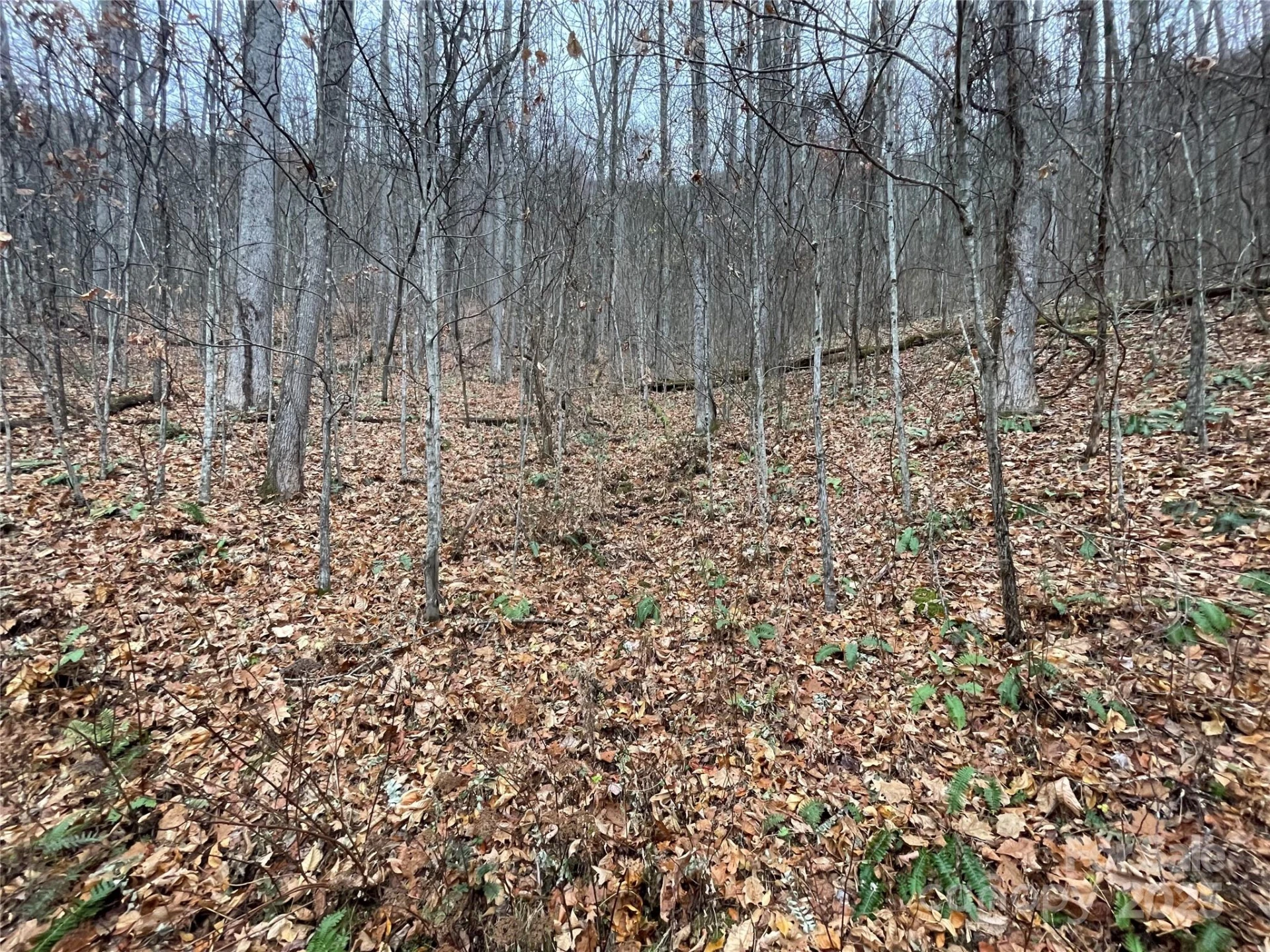 805 Sparkling Falls Road - Photo 5