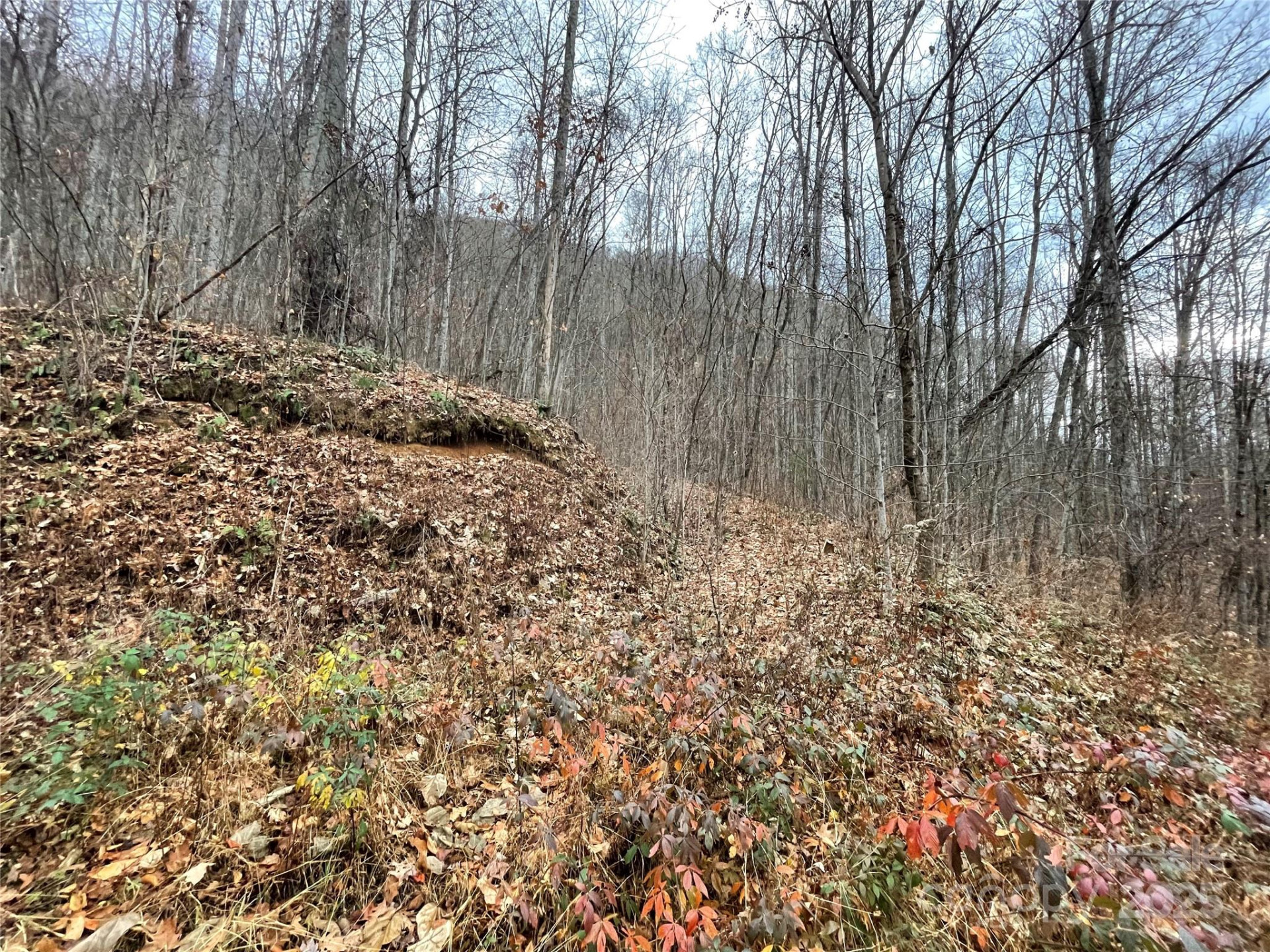 805 Sparkling Falls Road - Photo 6