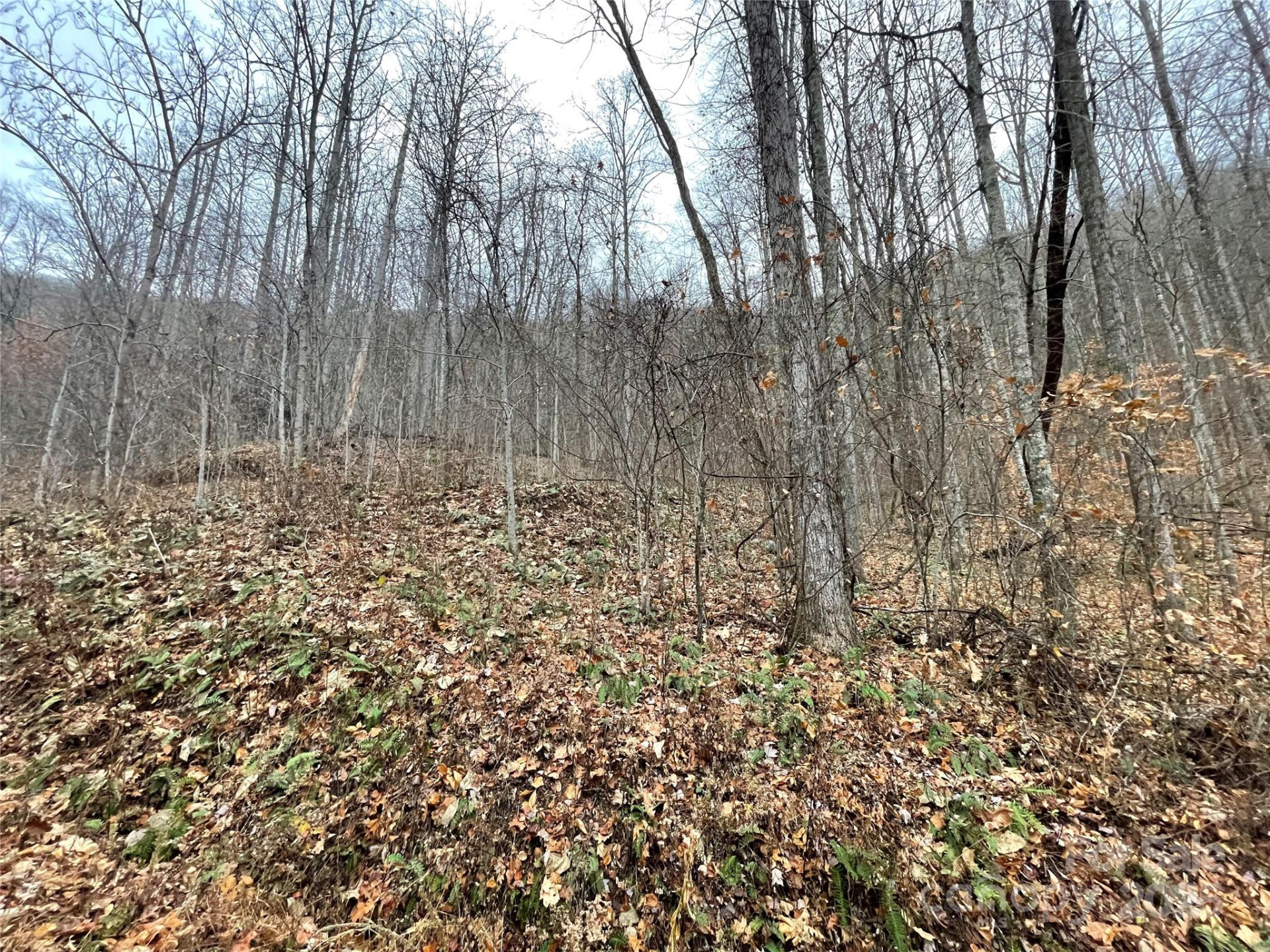 805 Sparkling Falls Road - Photo 7