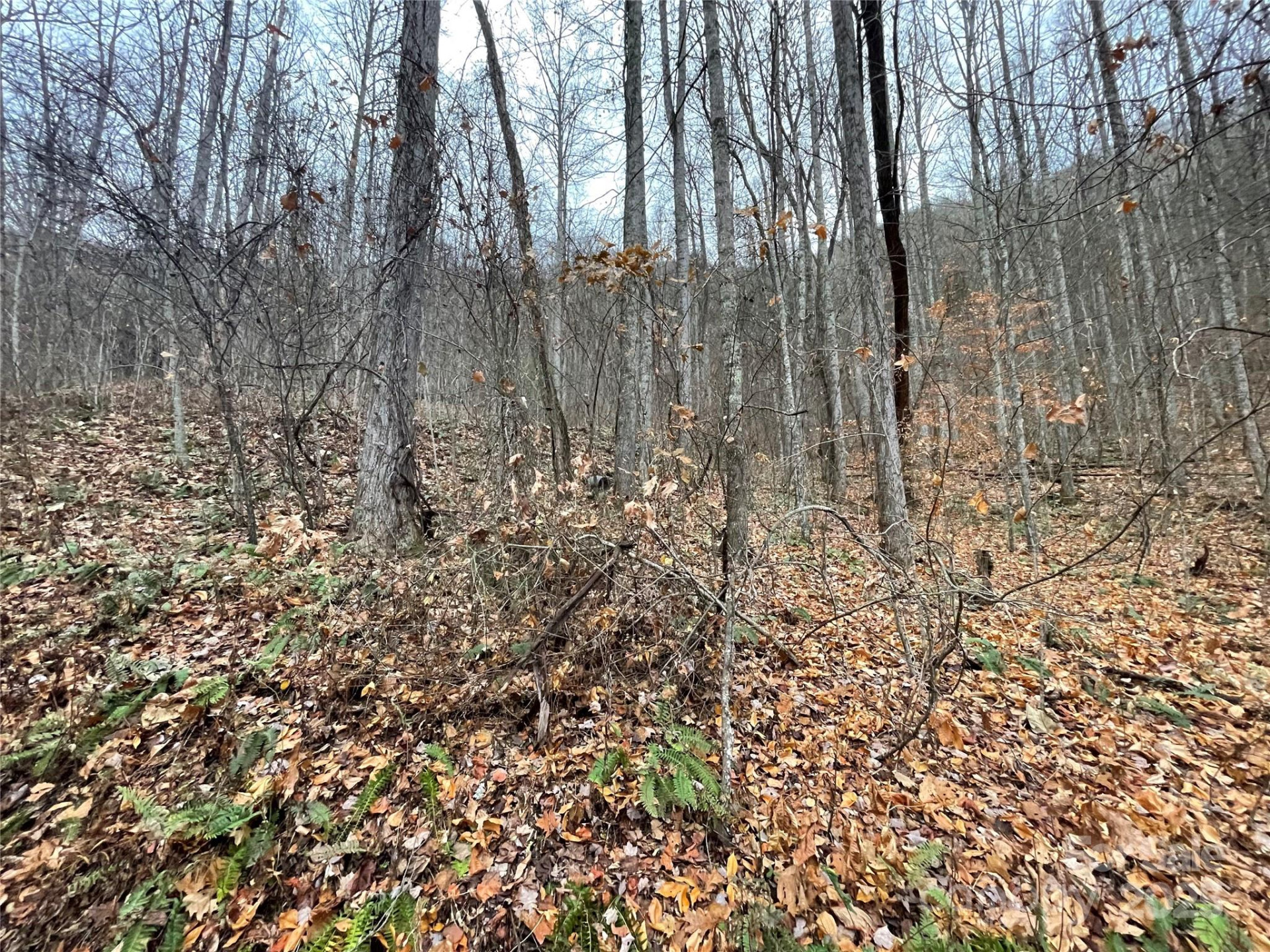 805 Sparkling Falls Road - Photo 8