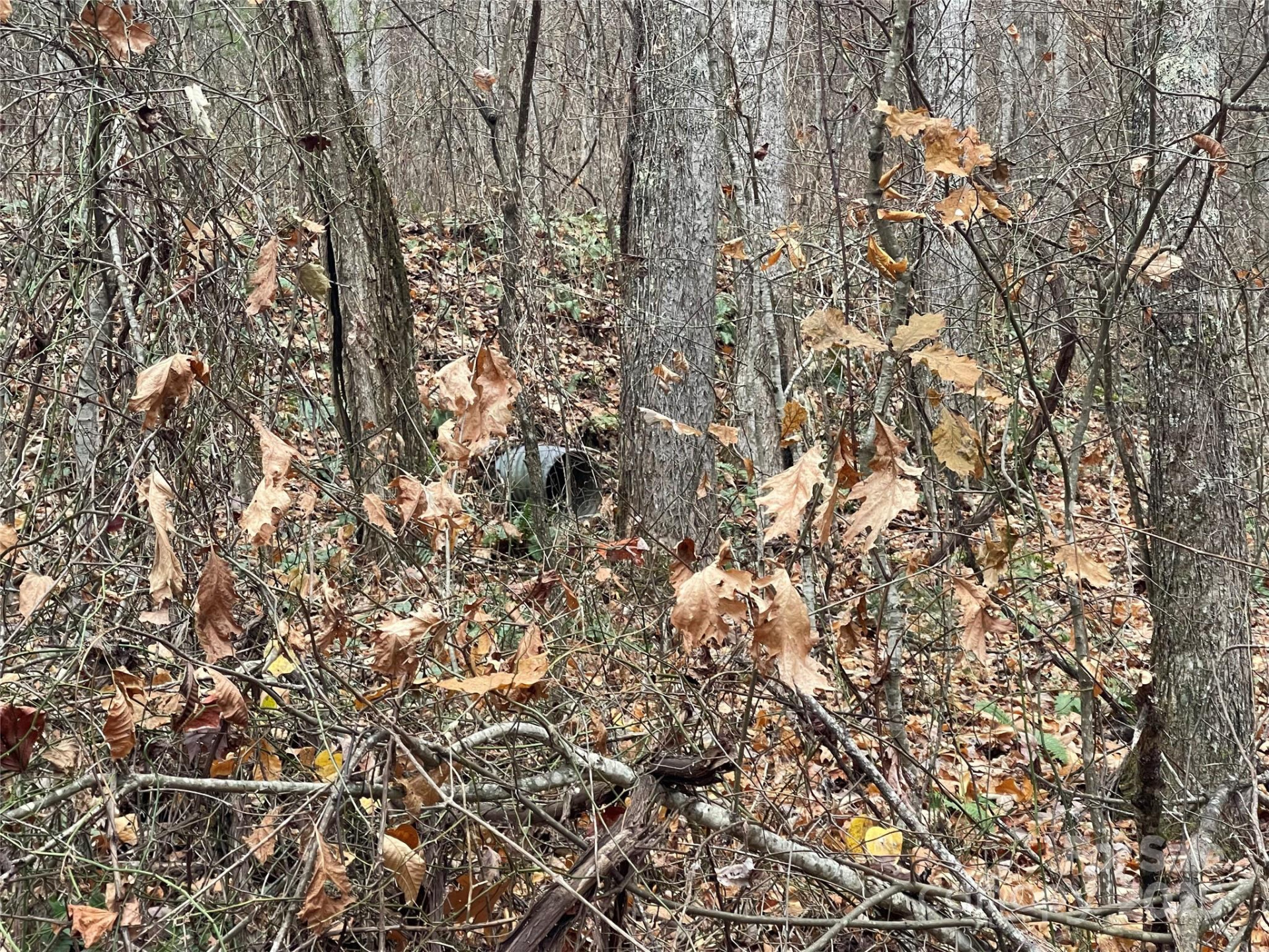 805 Sparkling Falls Road - Photo 9