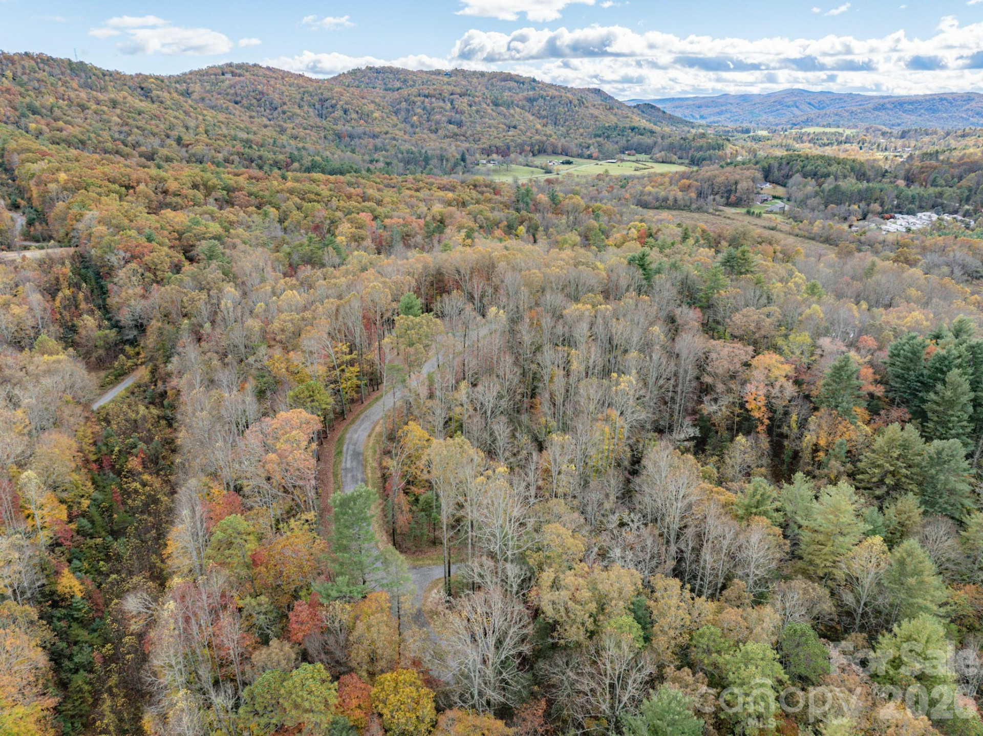 20 Nature Walk Lane - Photo 42