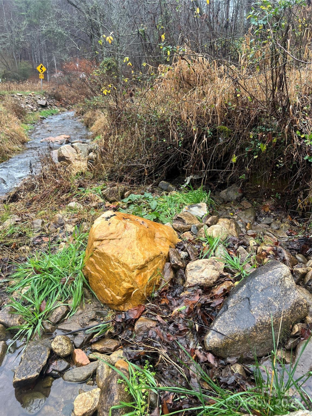 TBD Little Creek Road - Photo 2