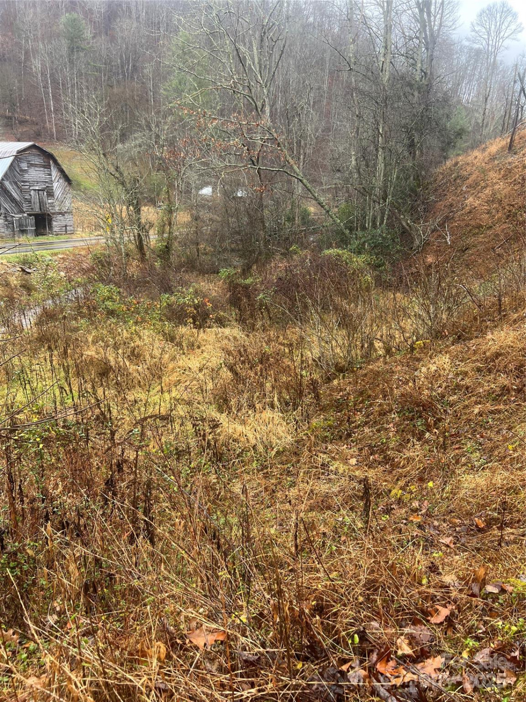 TBD Little Creek Road - Photo 3