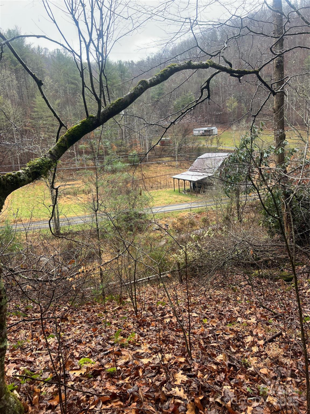 TBD Little Creek Road - Photo 5