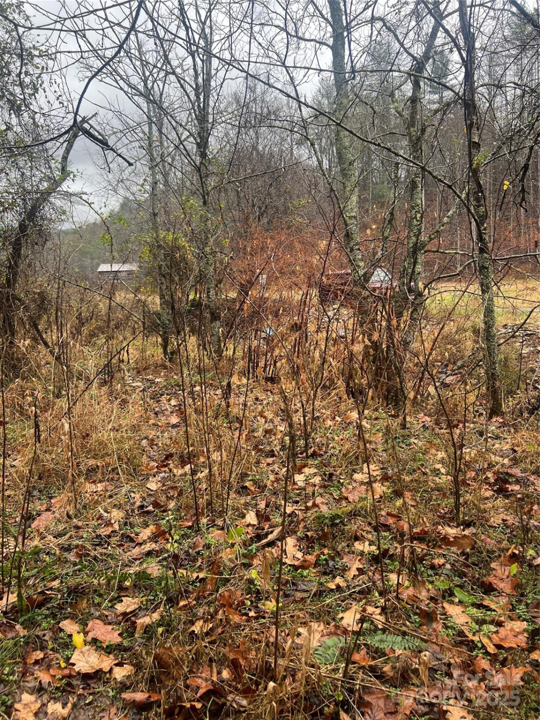 TBD Little Creek Road - Photo 7