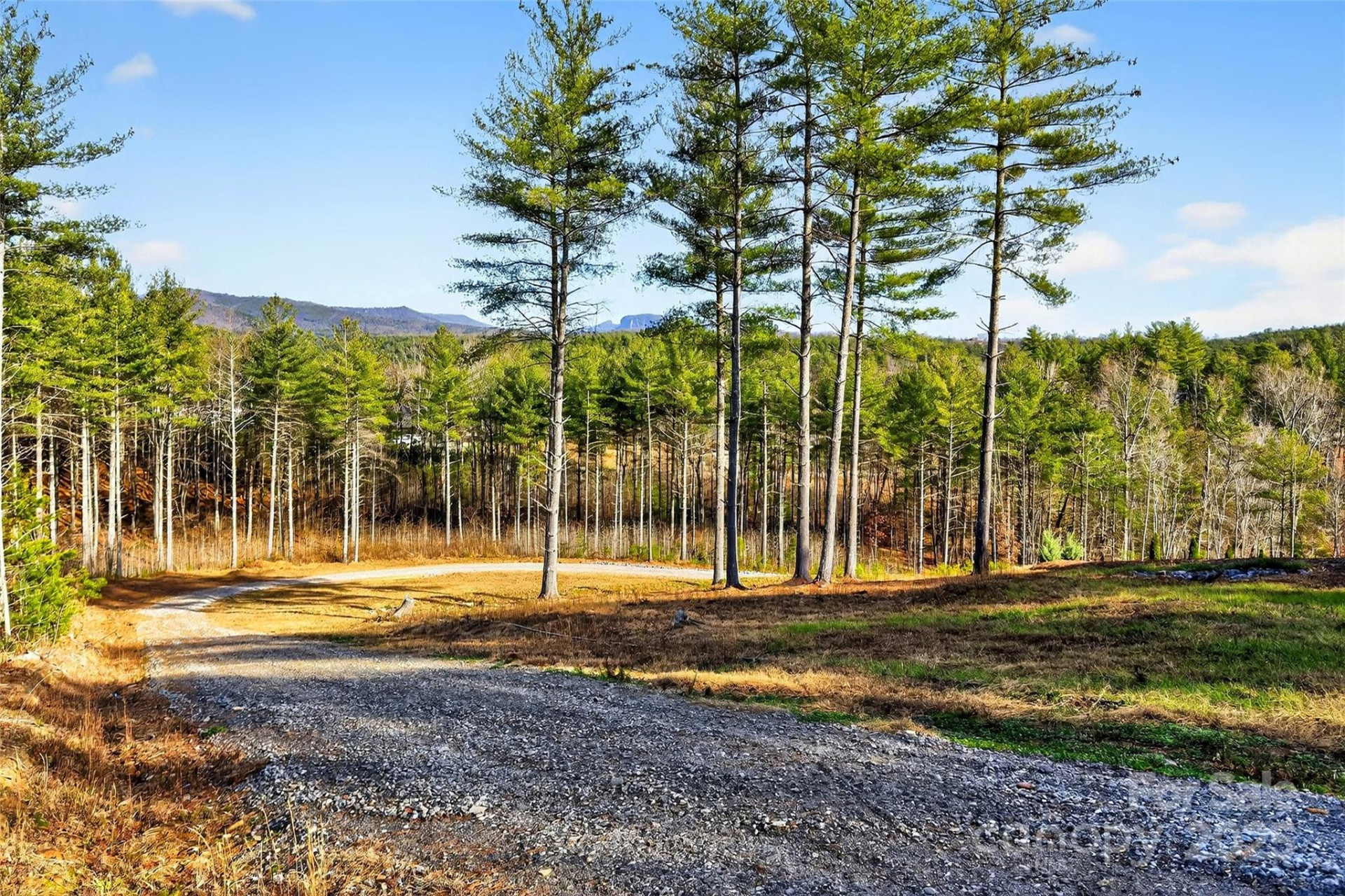 183 Crest View Drive #55 - Photo 13