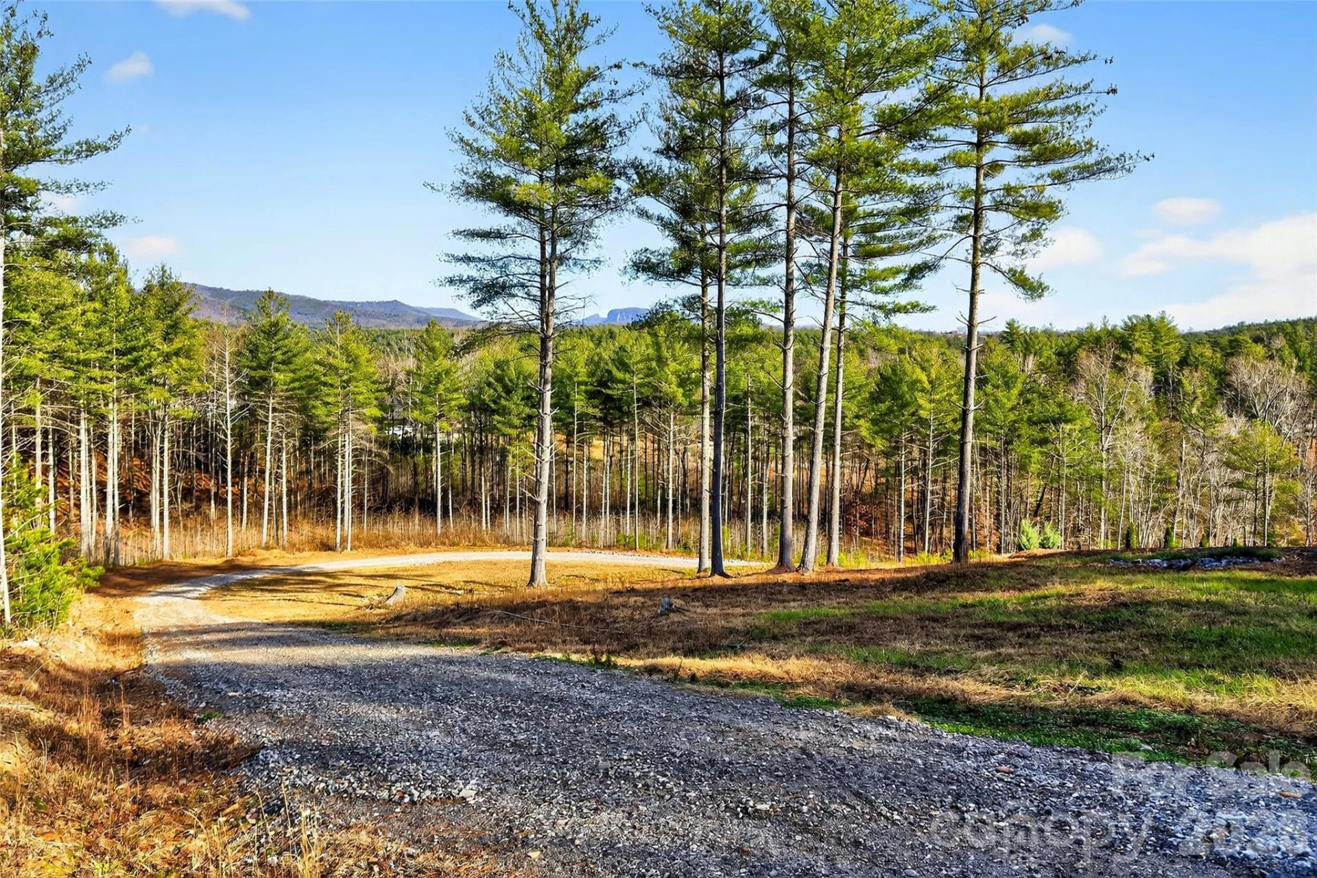 183 Crest View Drive #55 - Photo 15