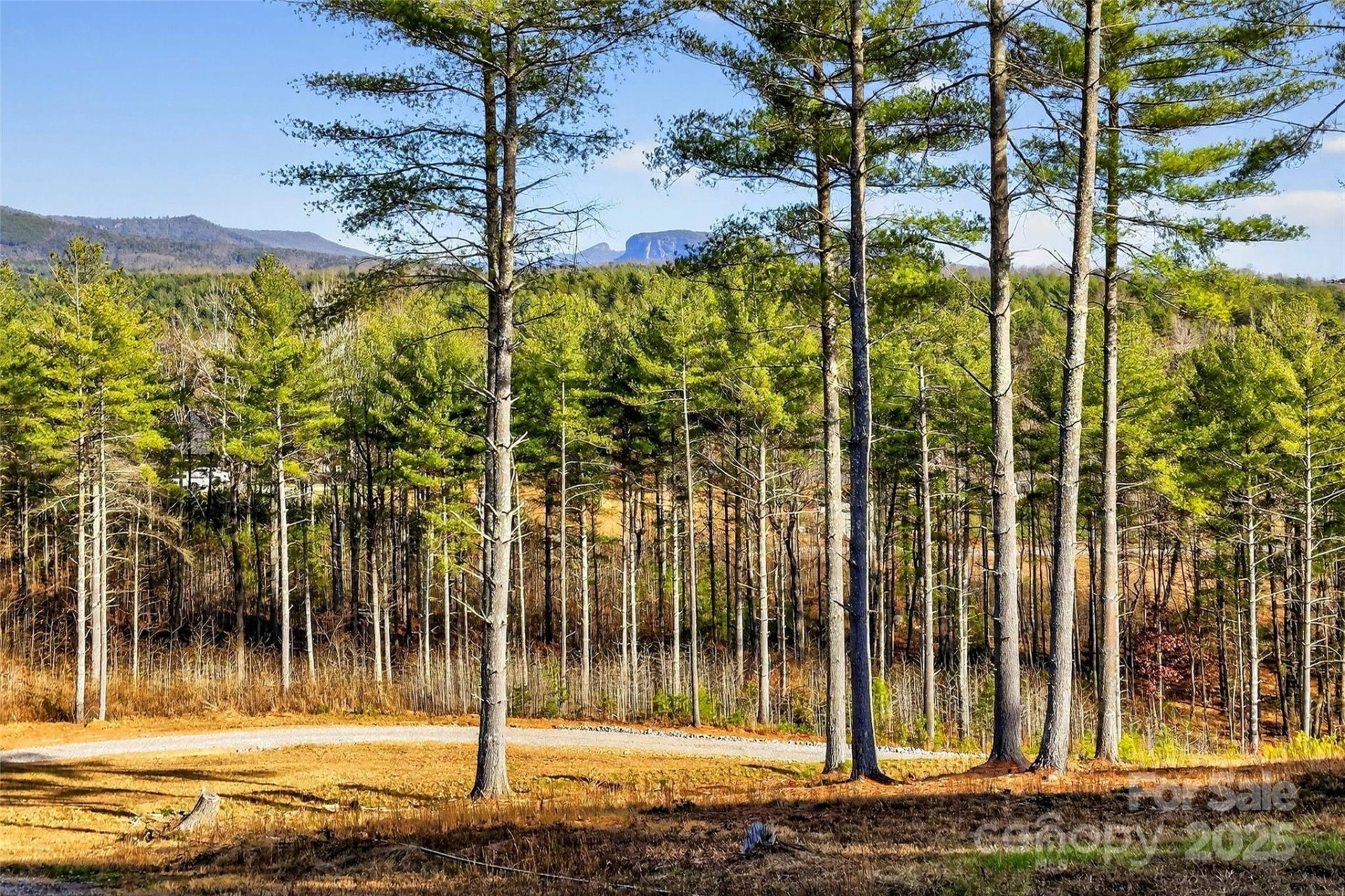 183 Crest View Drive #55 - Photo 17