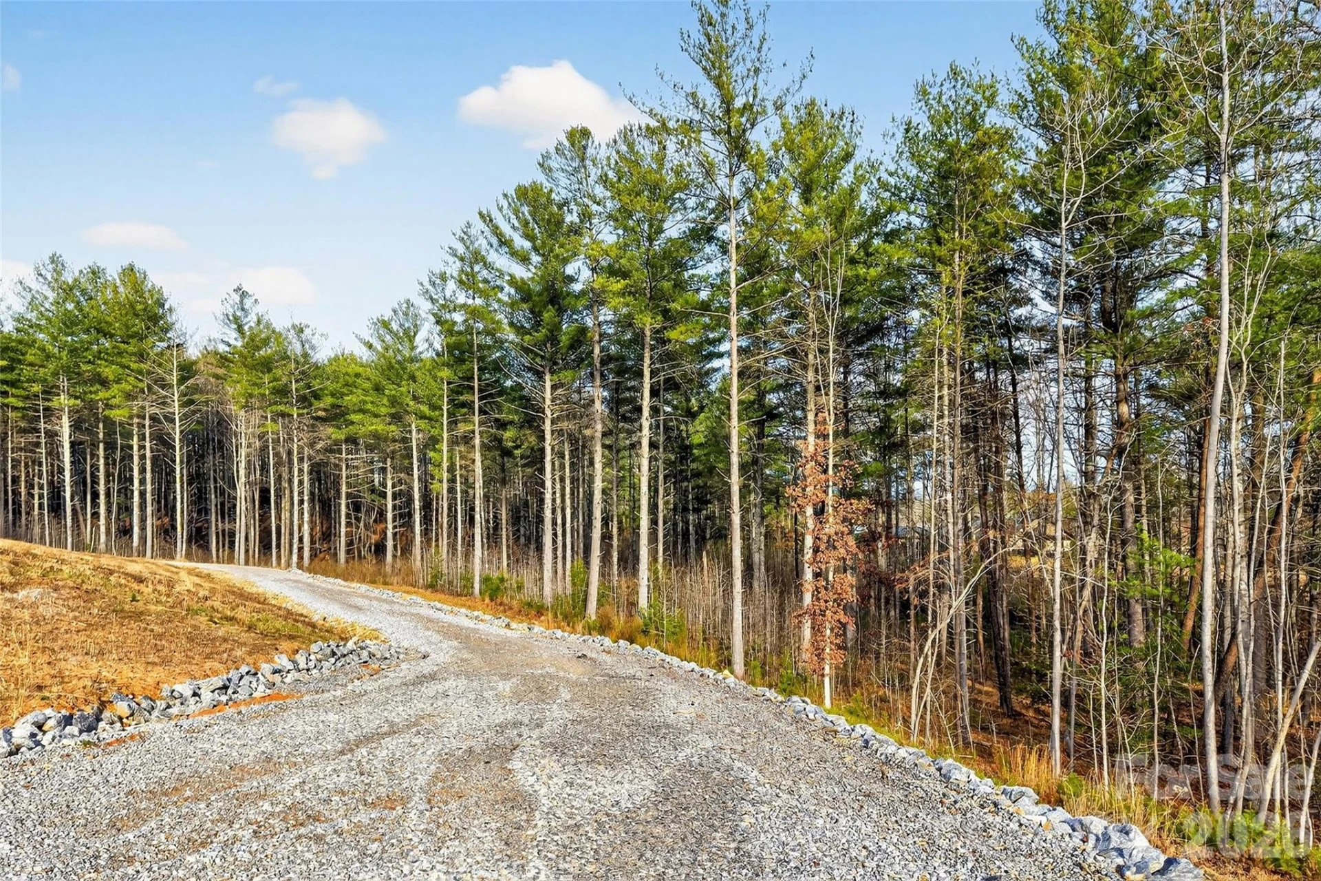 183 Crest View Drive #55 - Photo 17