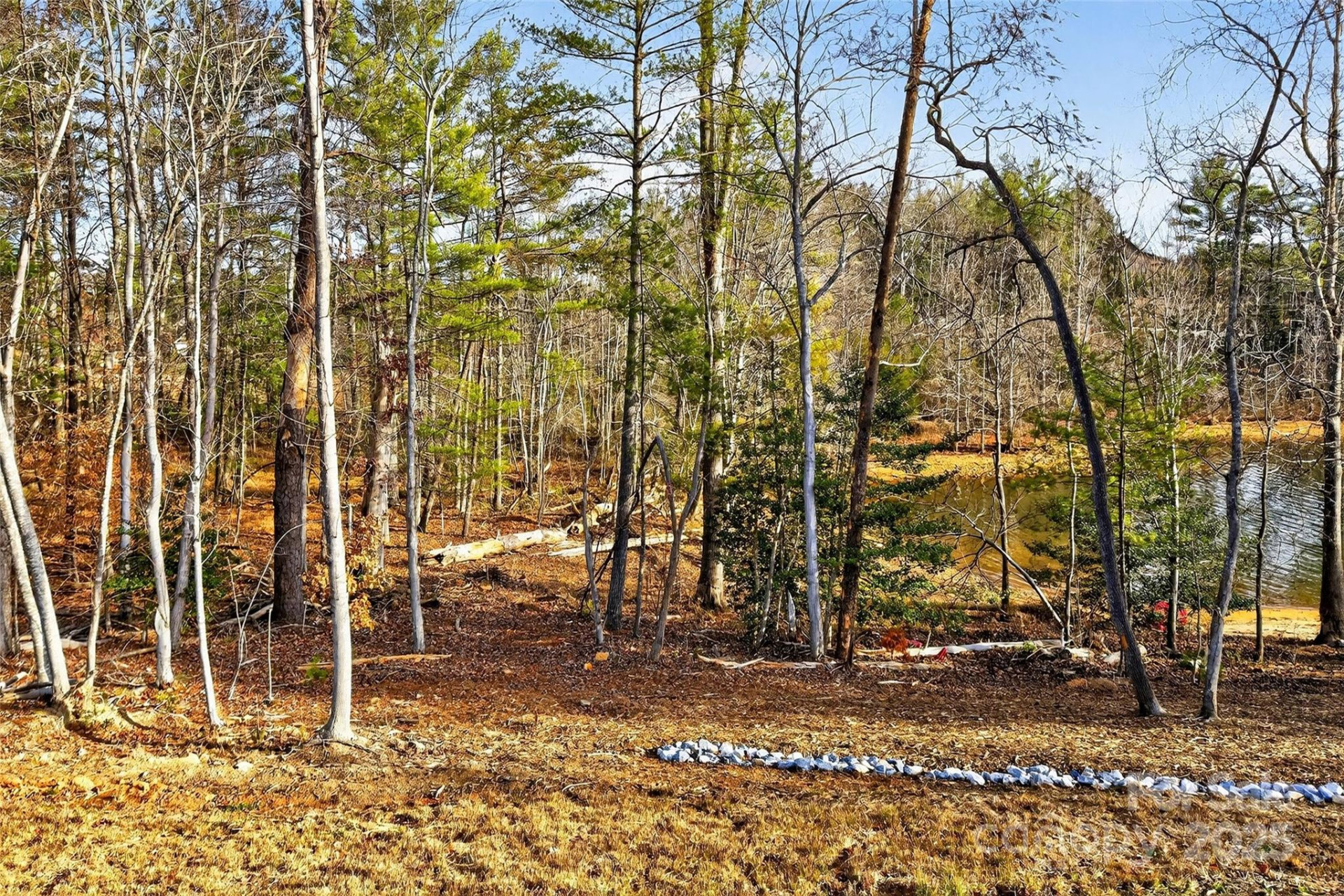 183 Crest View Drive #55 - Photo 18