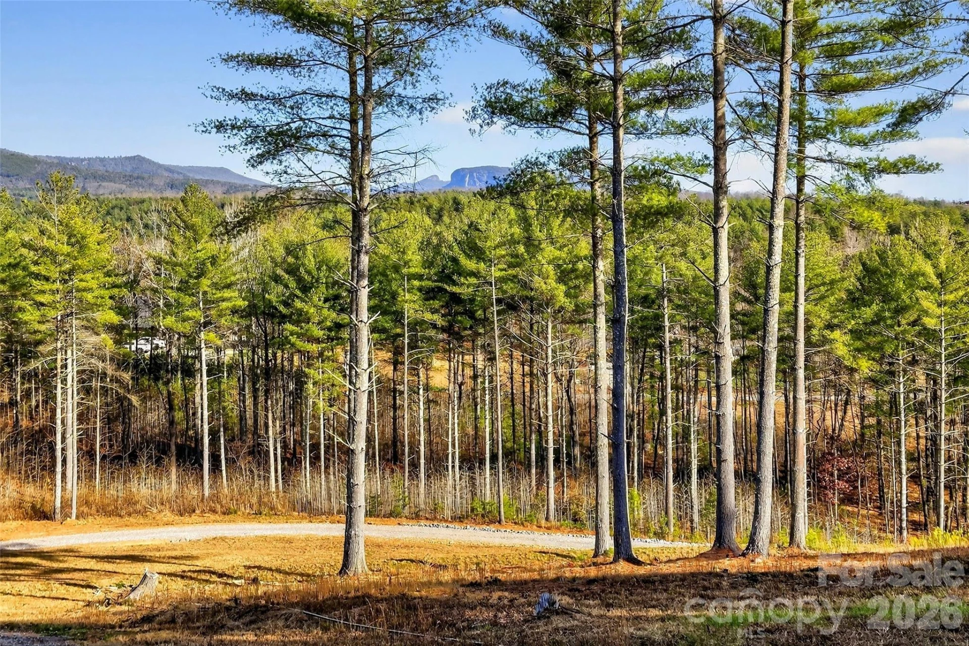 183 Crest View Drive #55 - Photo 19