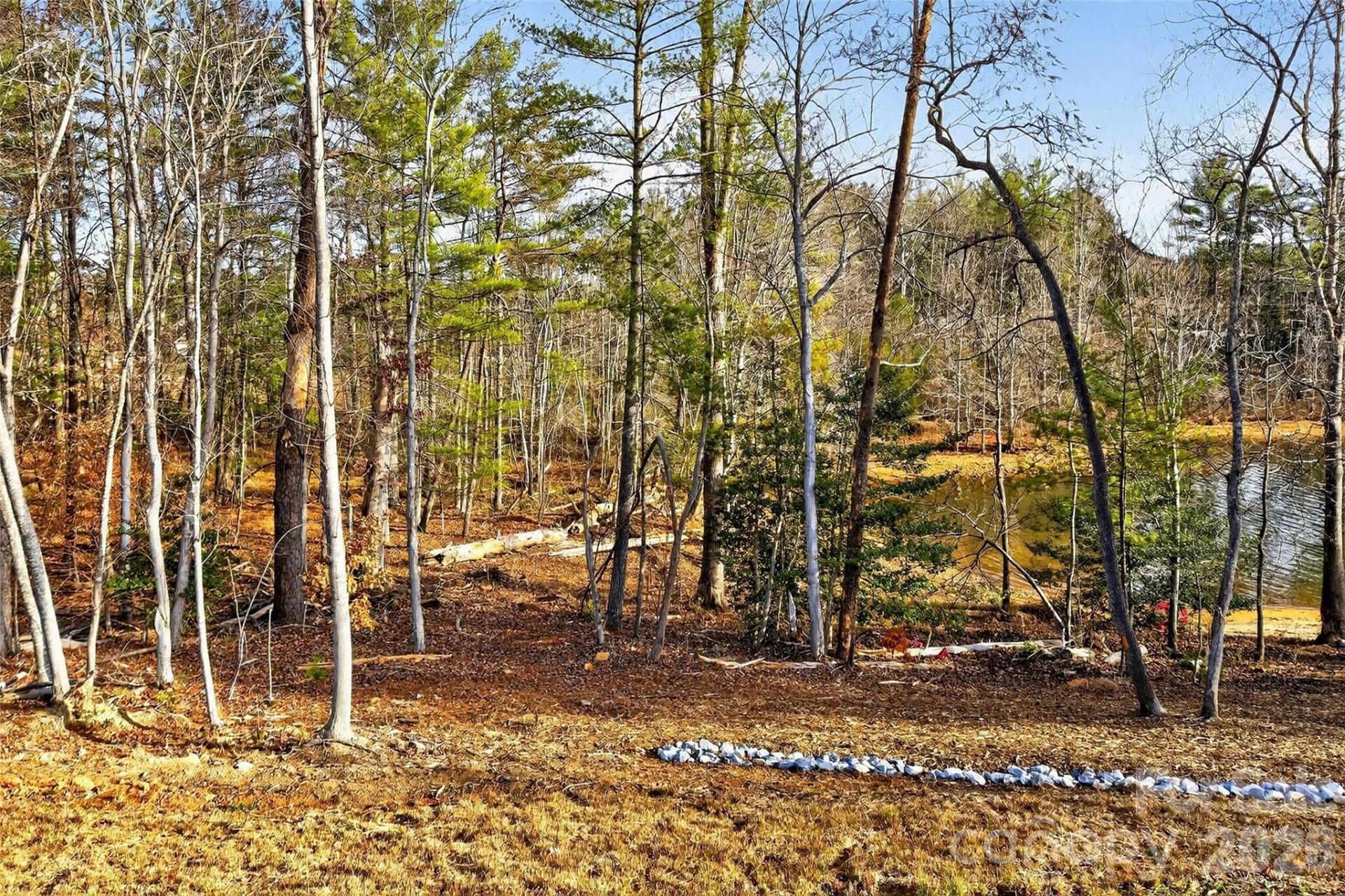 183 Crest View Drive #55 - Photo 20