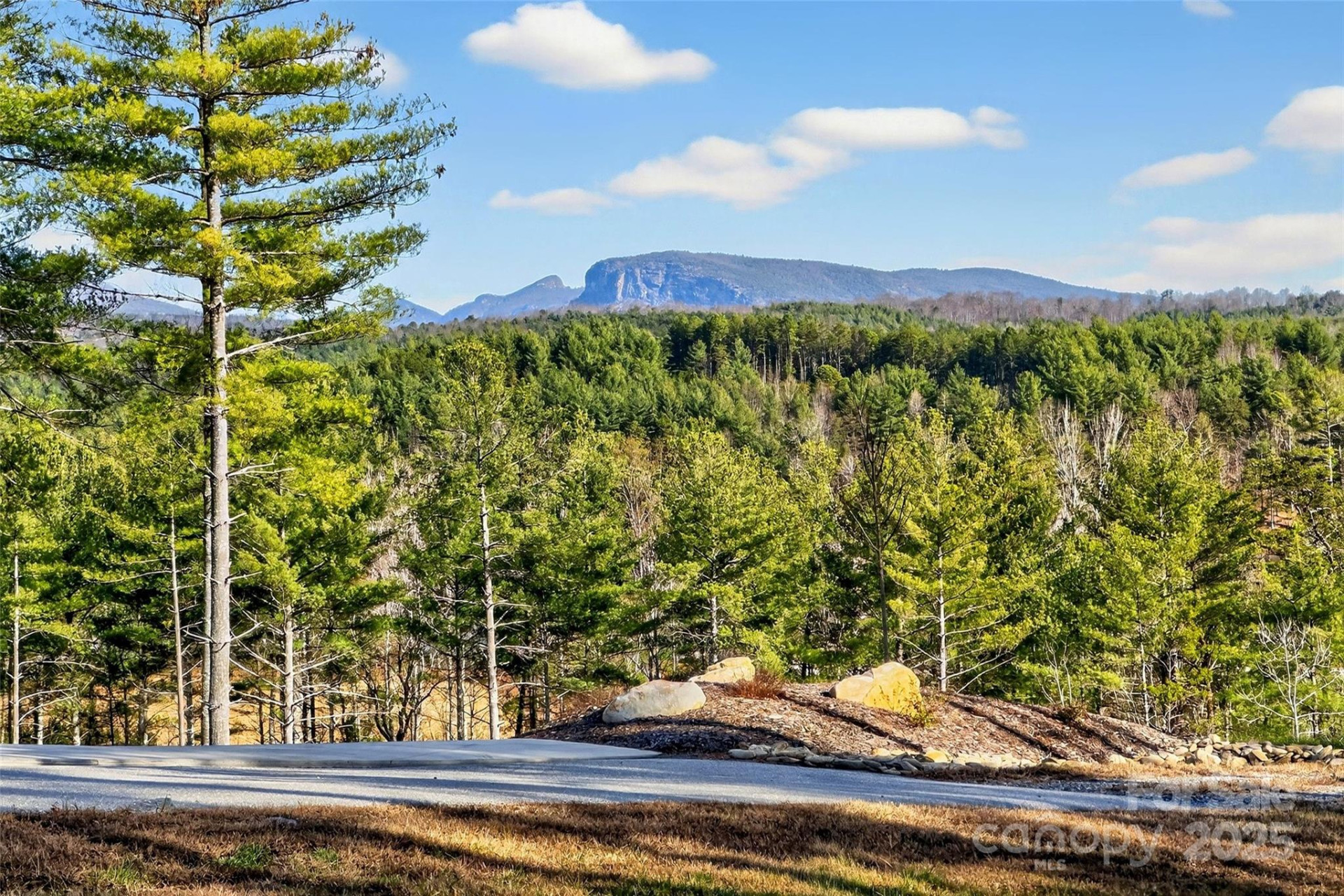 183 Crest View Drive #55 - Photo 6