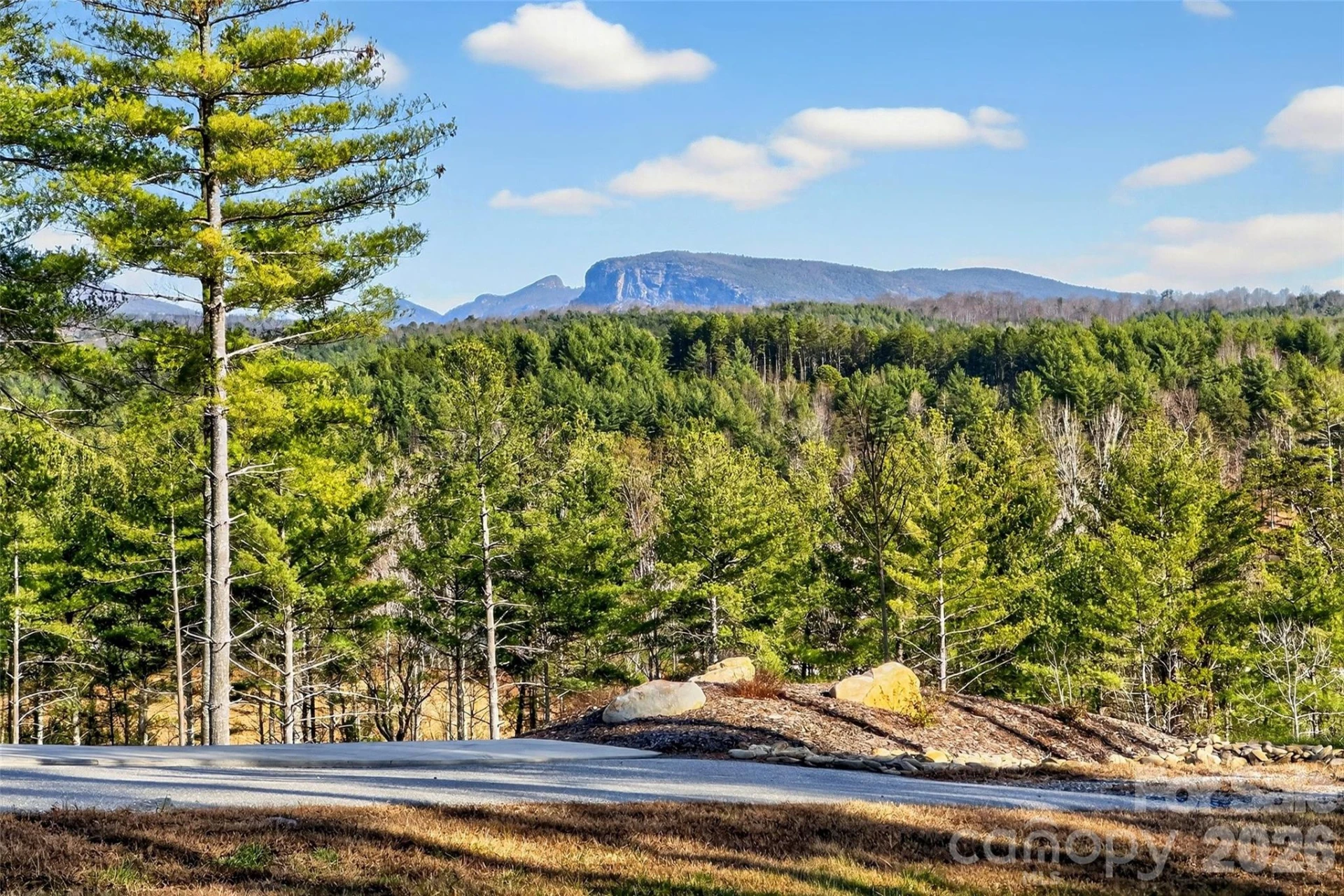 183 Crest View Drive #55 - Photo 8