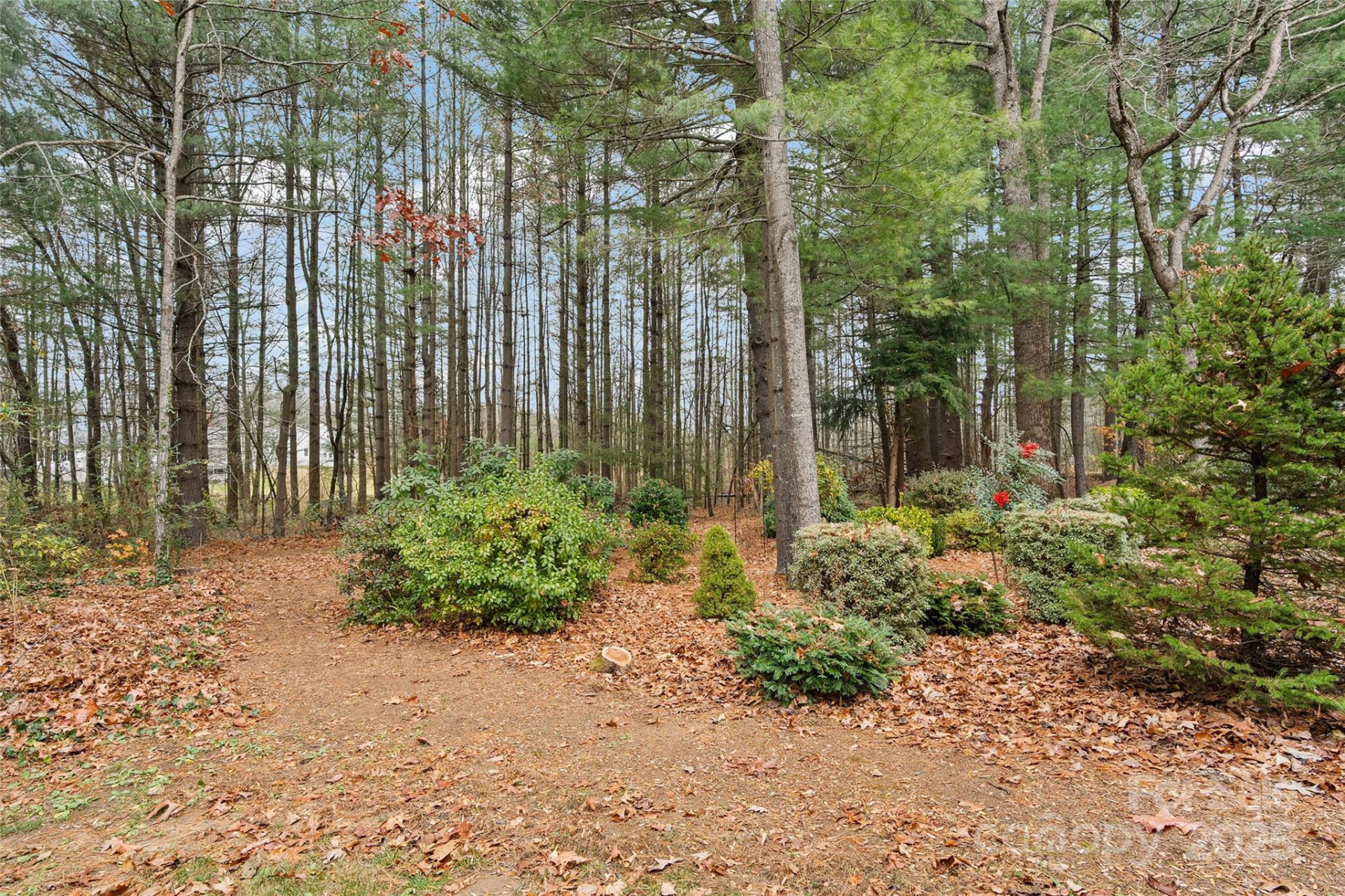 264 Charlestown Drive - Photo 18