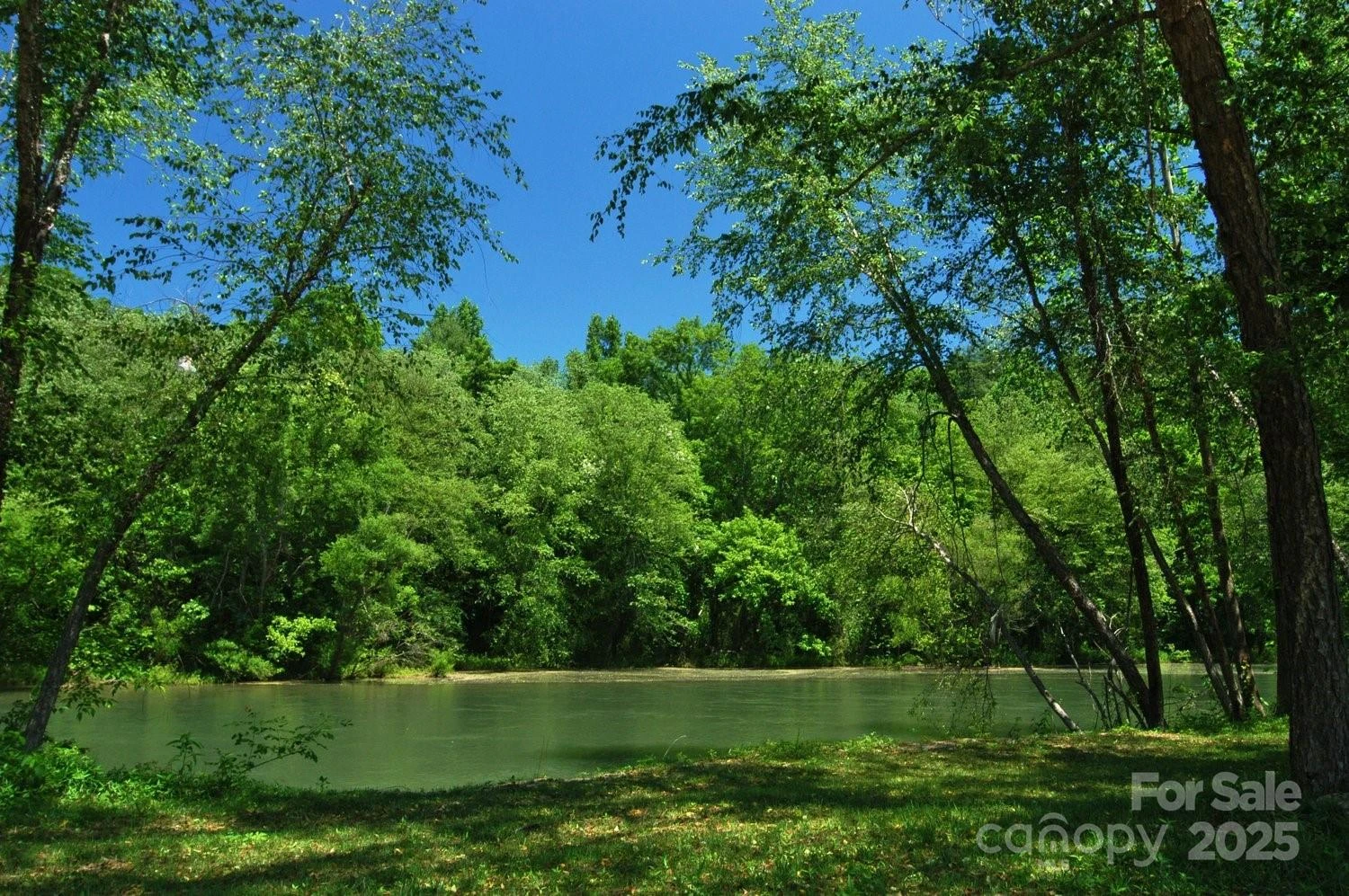 1227 River Club Drive - Photo 3