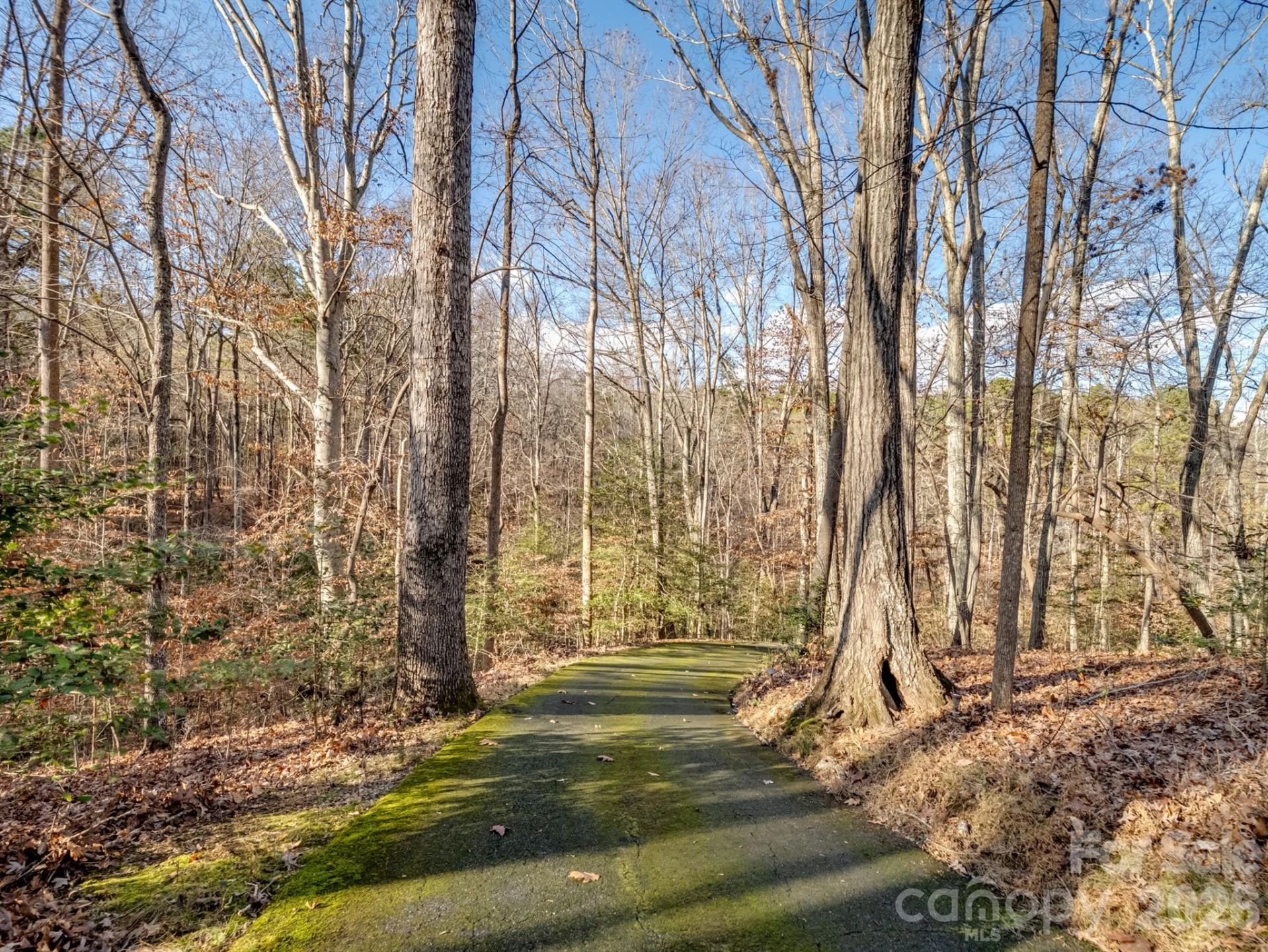 1090 Saunders Drive - Photo 40