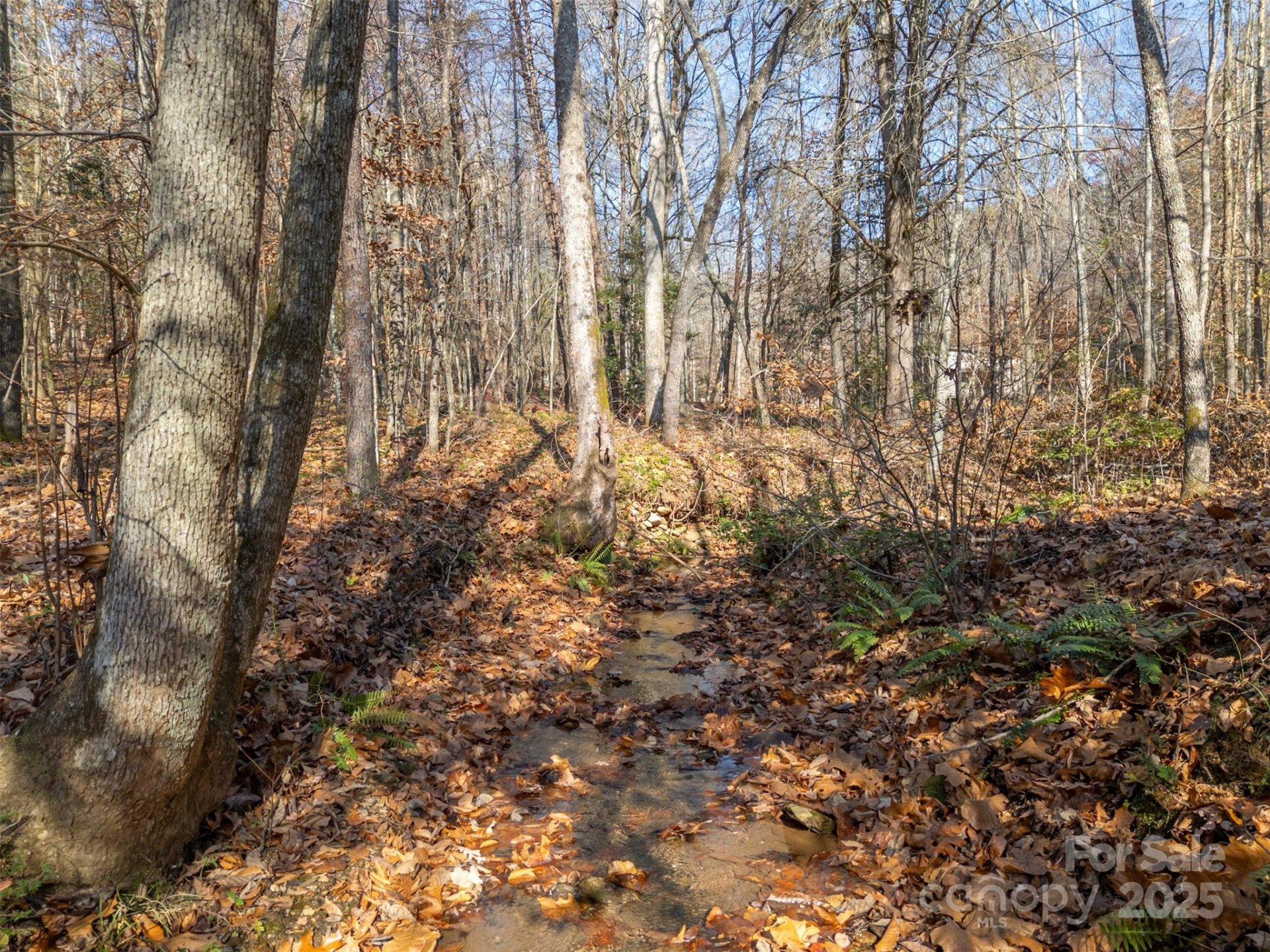 152 Golden Creek Trail - Photo 19