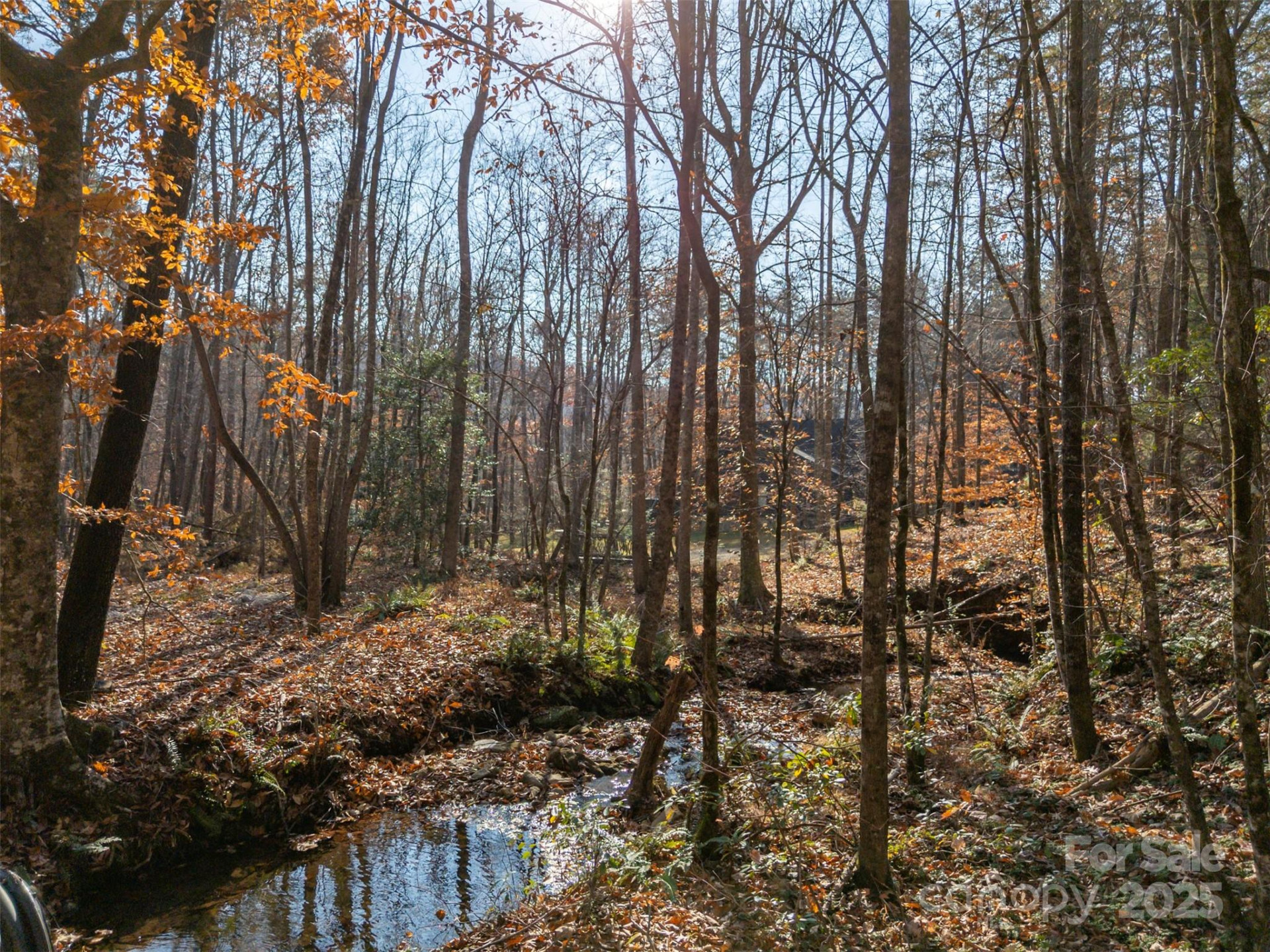 152 Golden Creek Trail - Photo 20