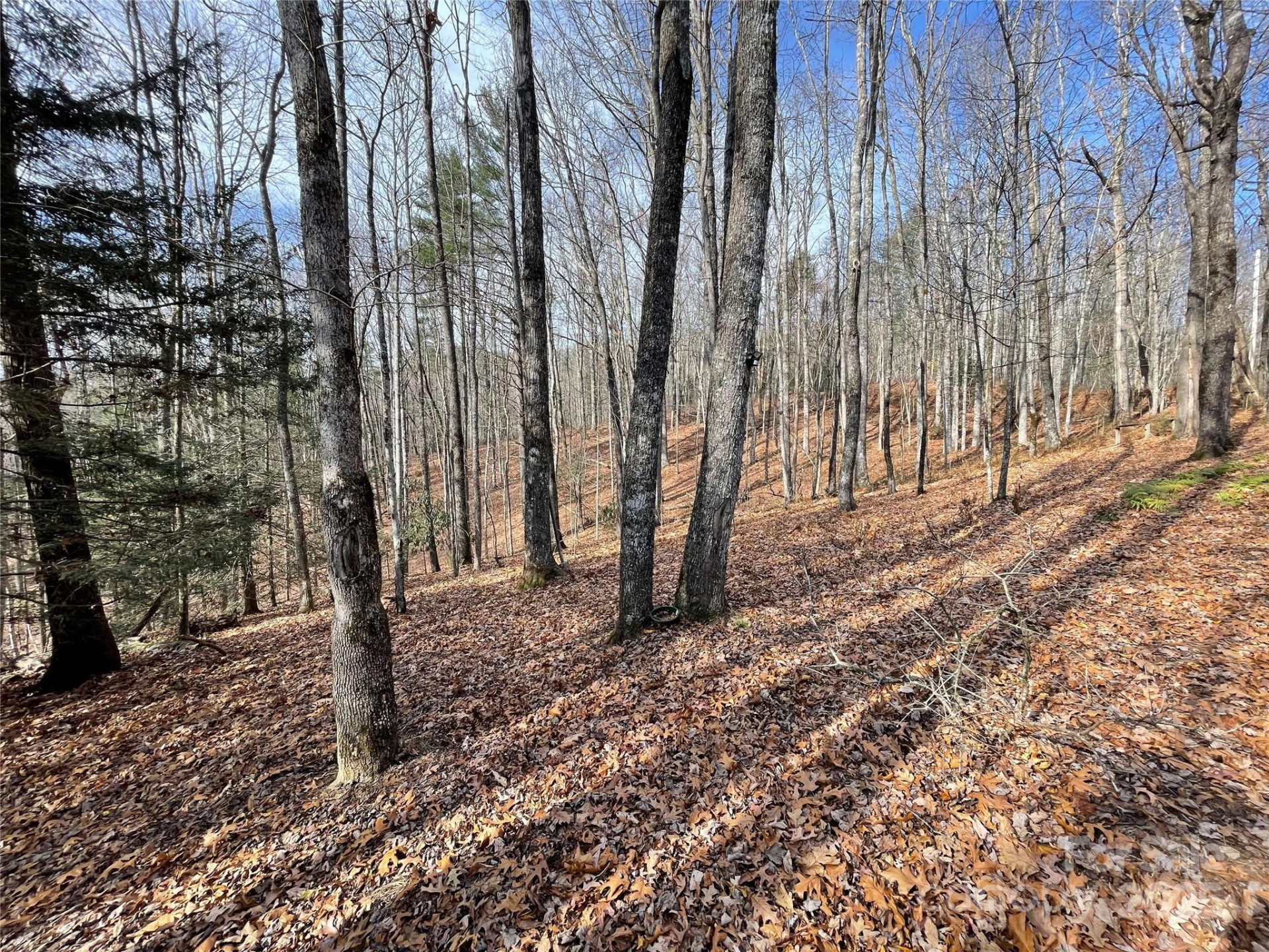 102 Knobster Way - Photo 37