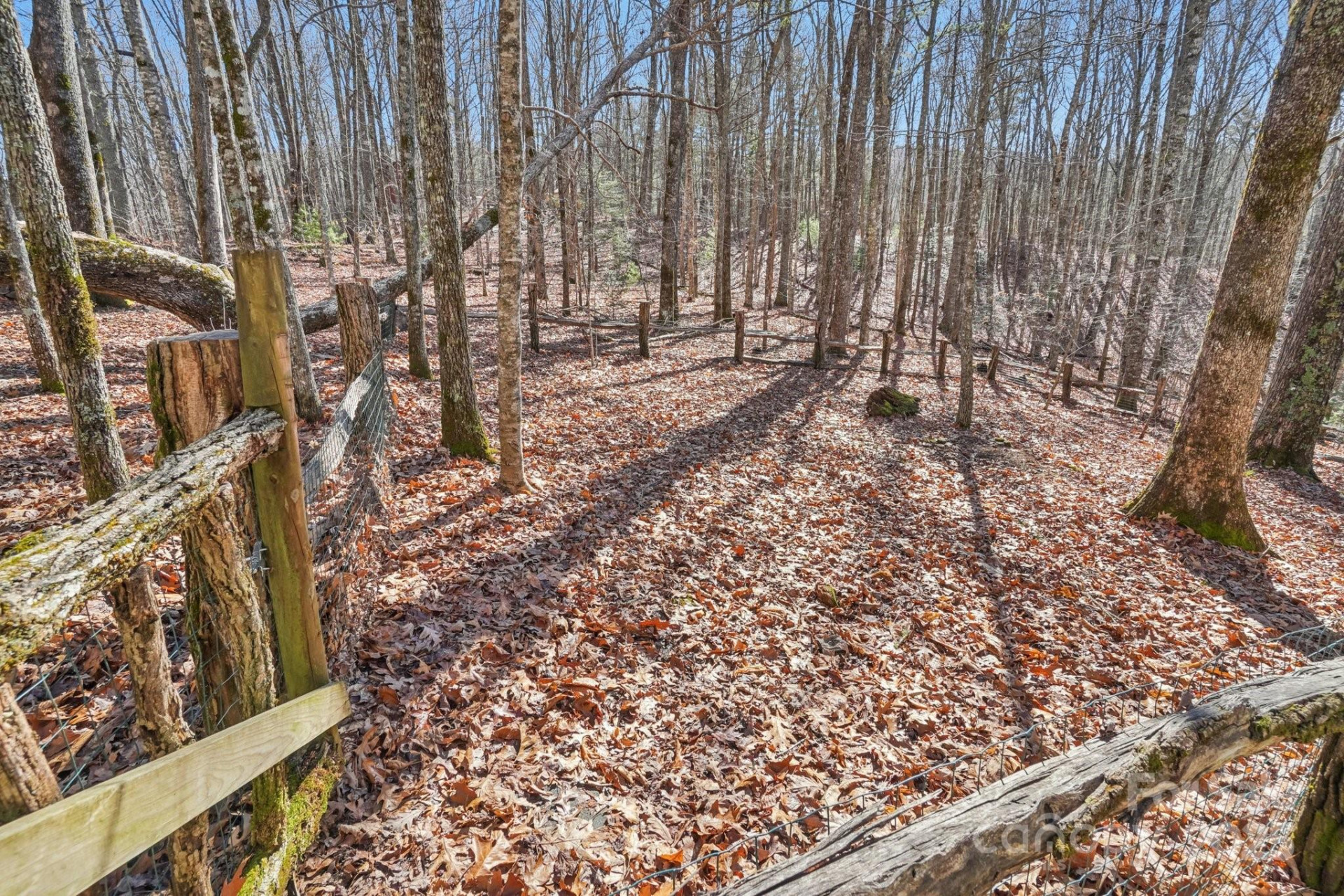 102 Knobster Way - Photo 38