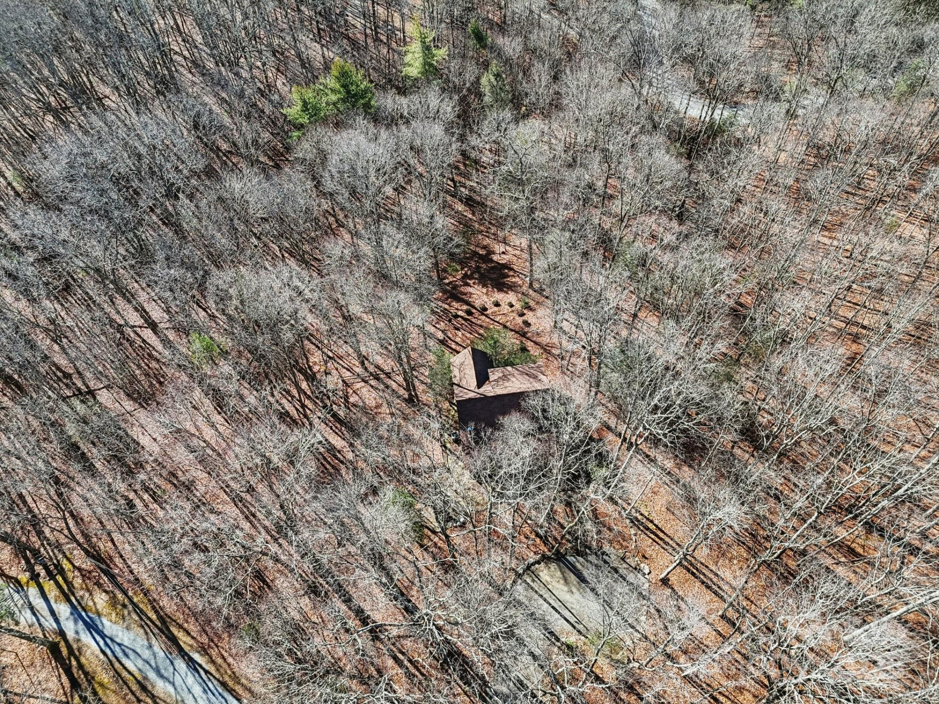 102 Knobster Way - Photo 39