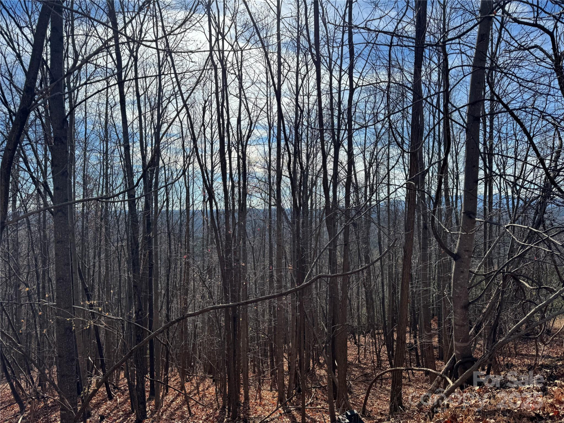 Lot 22 High Rock Ridge - Photo 5