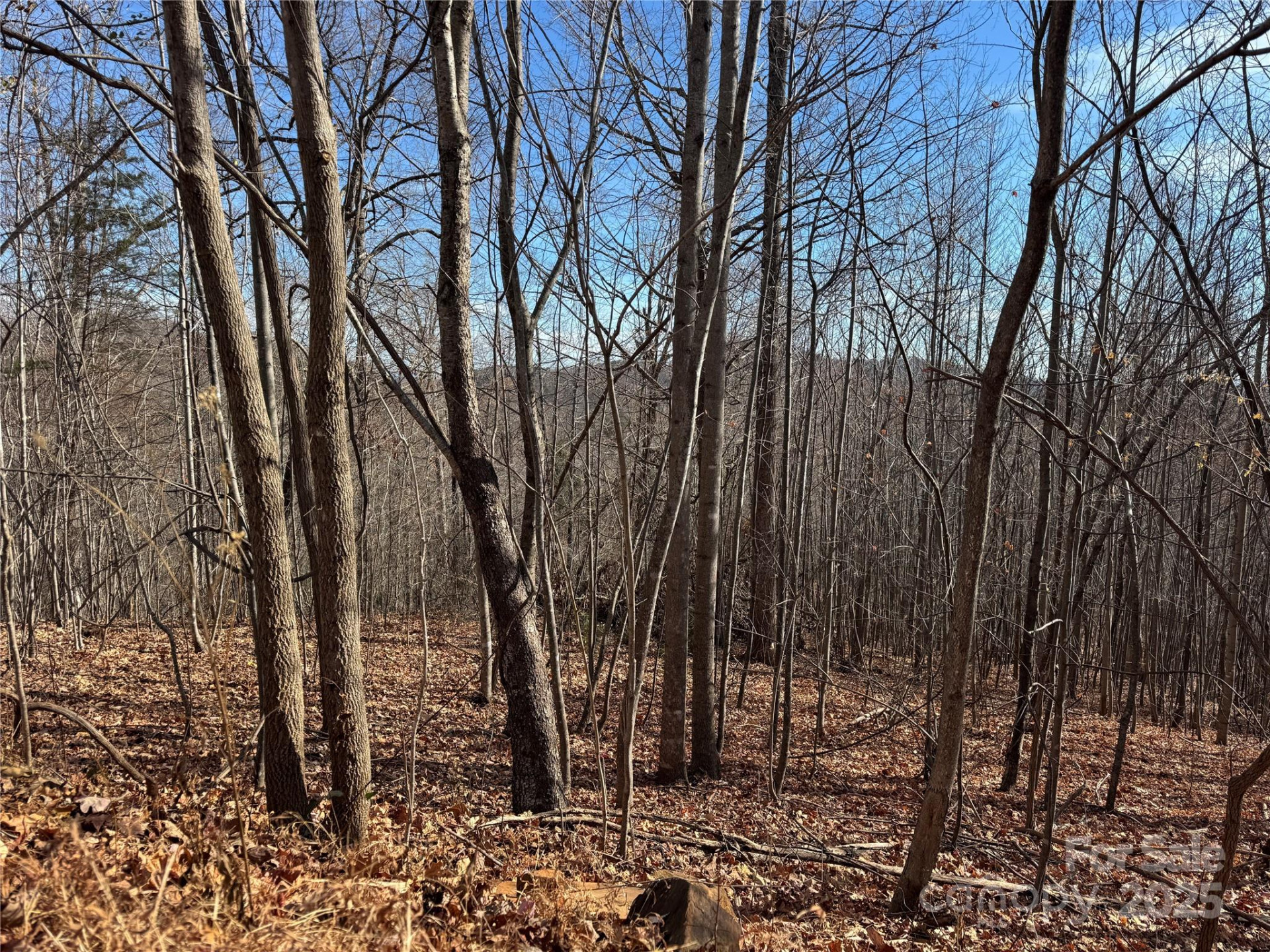 Lot 22 High Rock Ridge - Photo 6