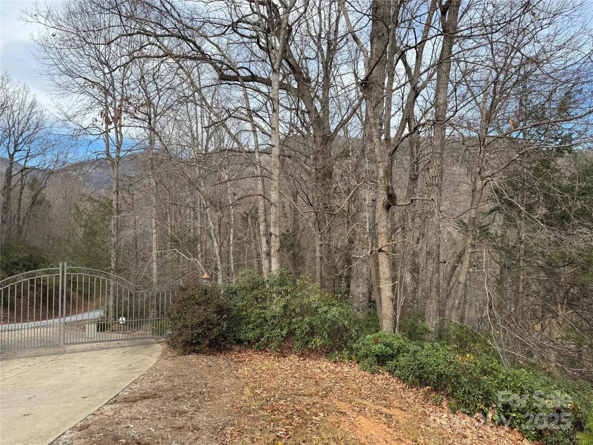 0 Deer Trail #16 - Photo 2