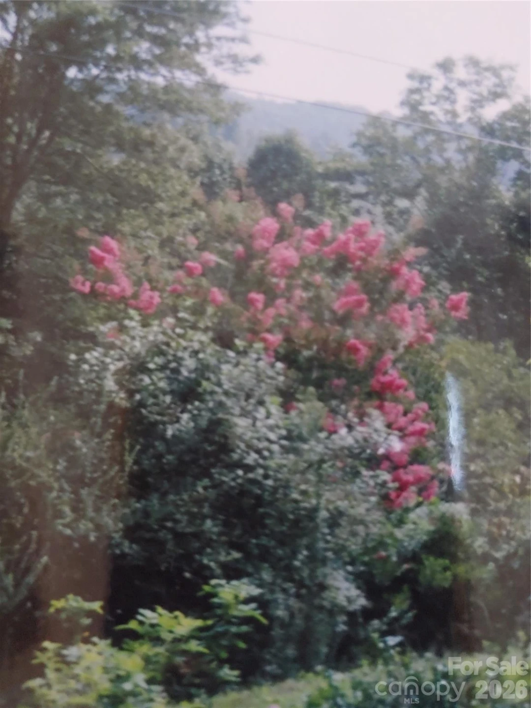 707 Lickskillet Road - Photo 19