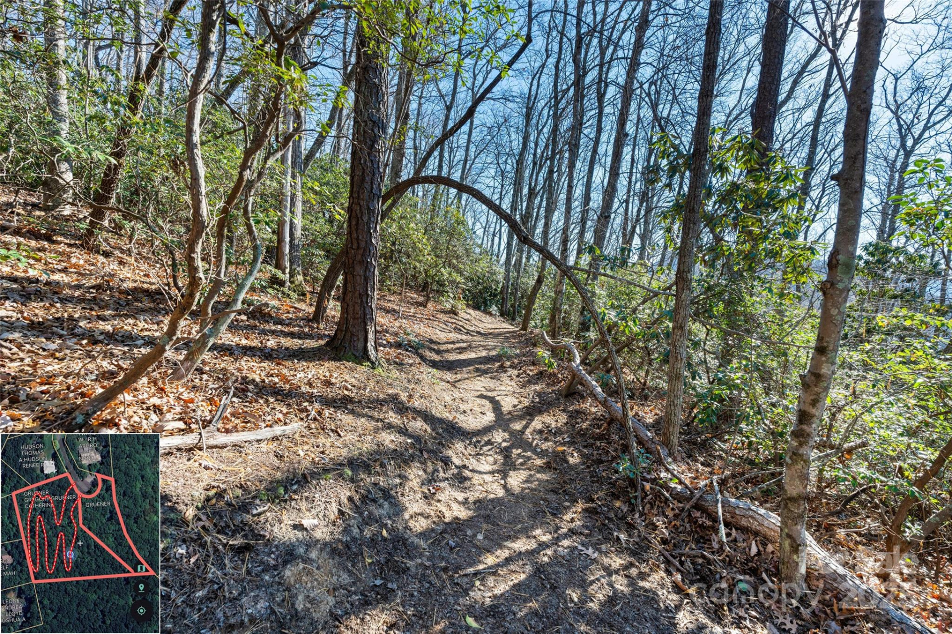 9999 North Fork Road #5 & 6 - Photo 11