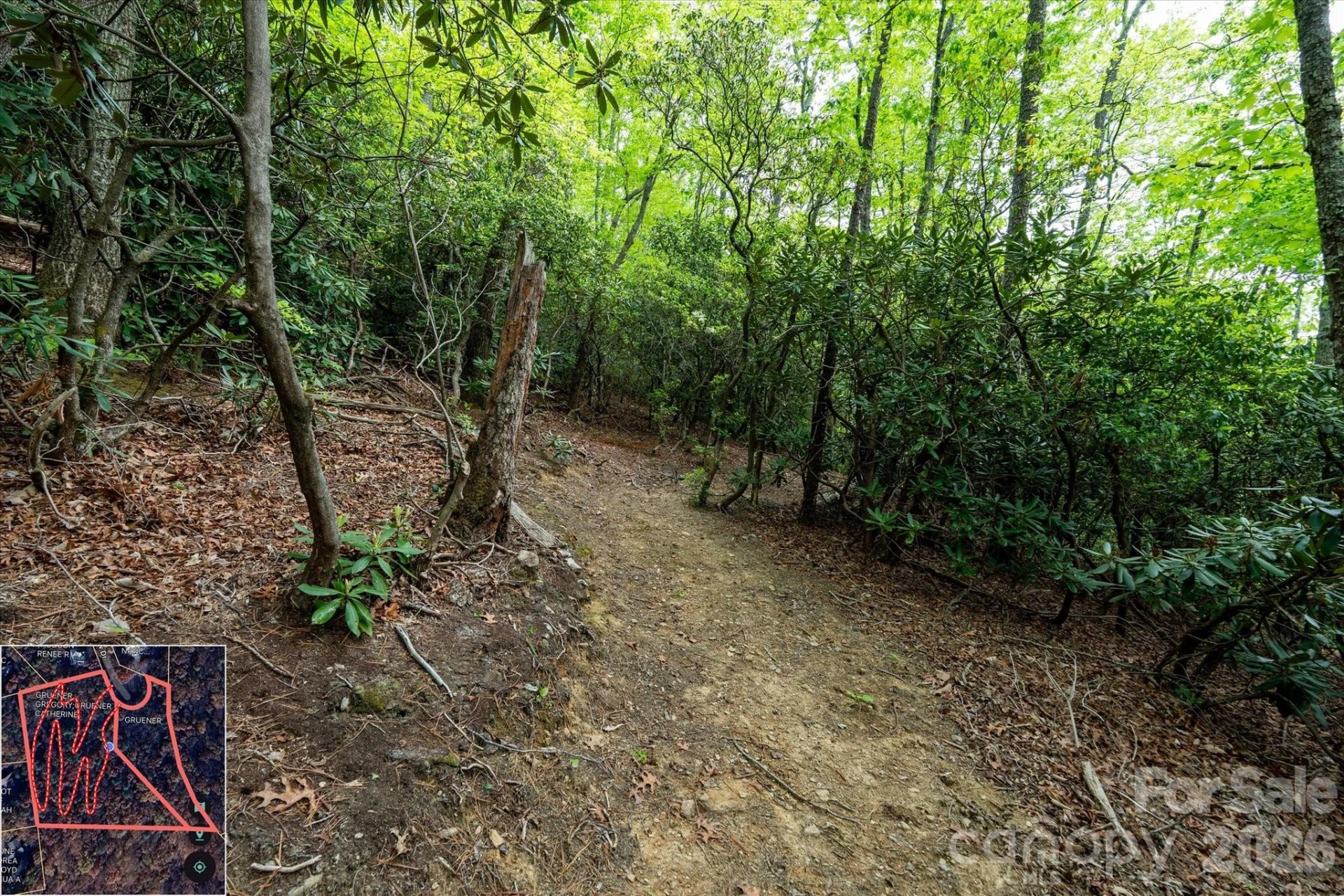 9999 North Fork Road #5 & 6 - Photo 11