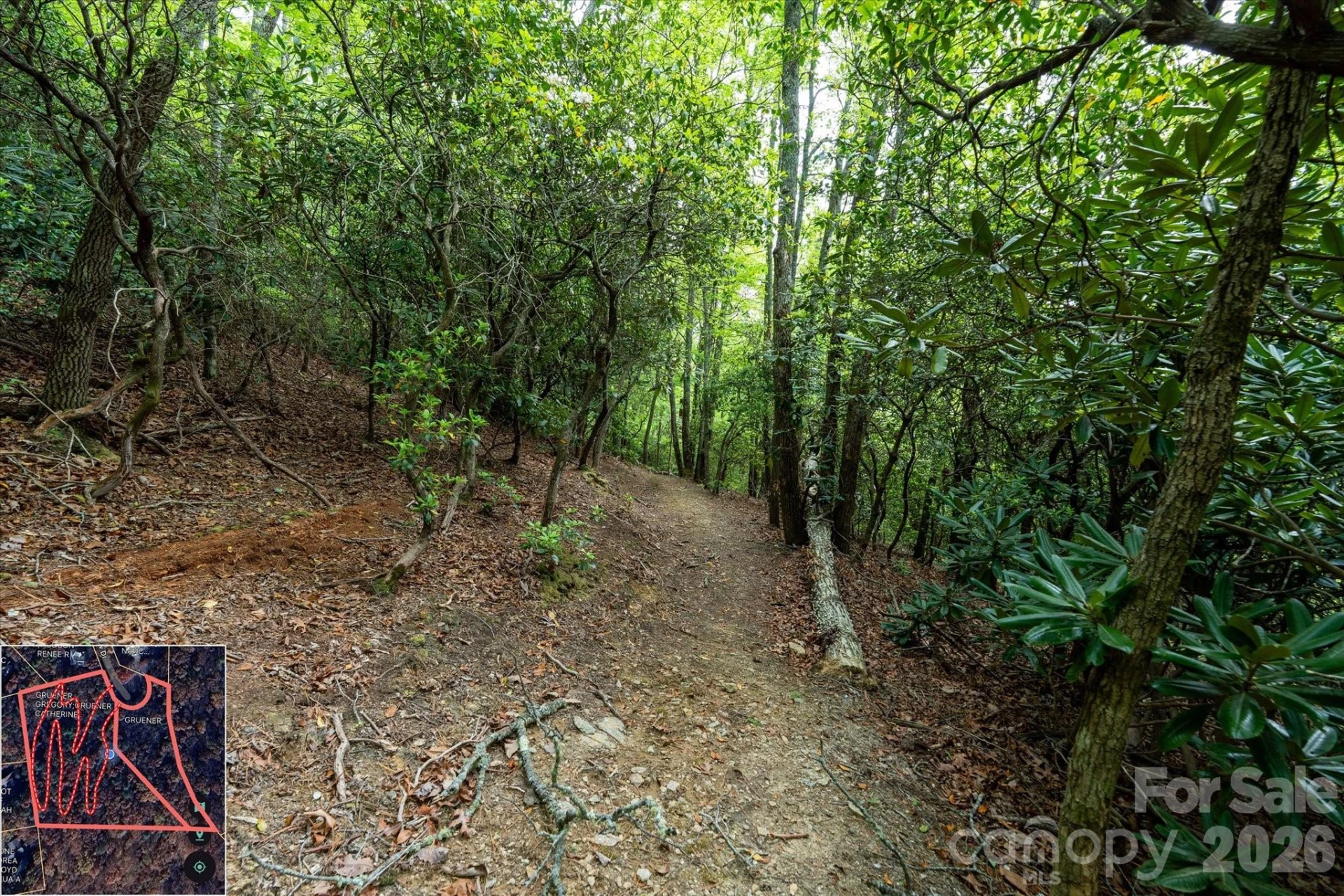 9999 North Fork Road #5 & 6 - Photo 12