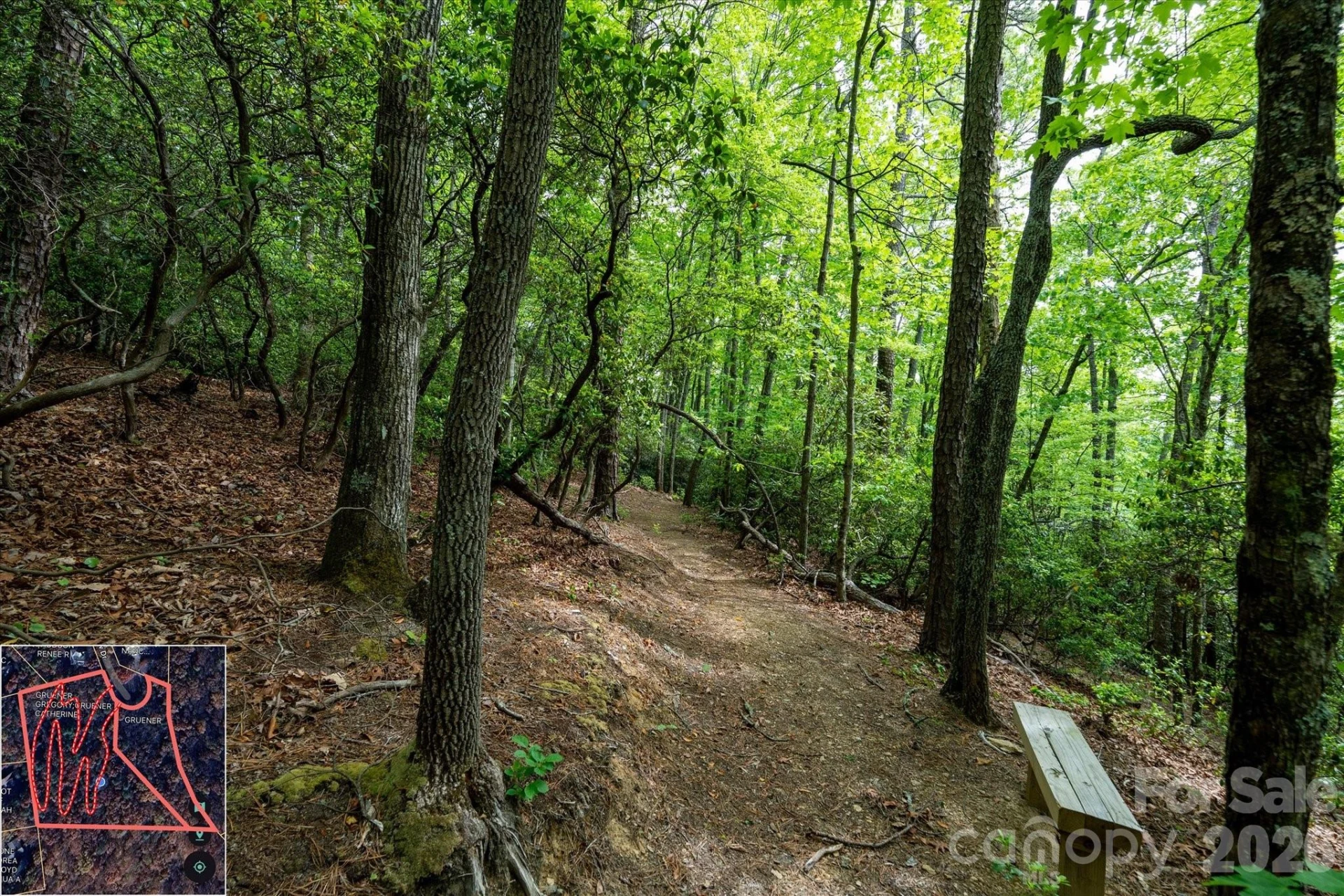 9999 North Fork Road #5 & 6 - Photo 13