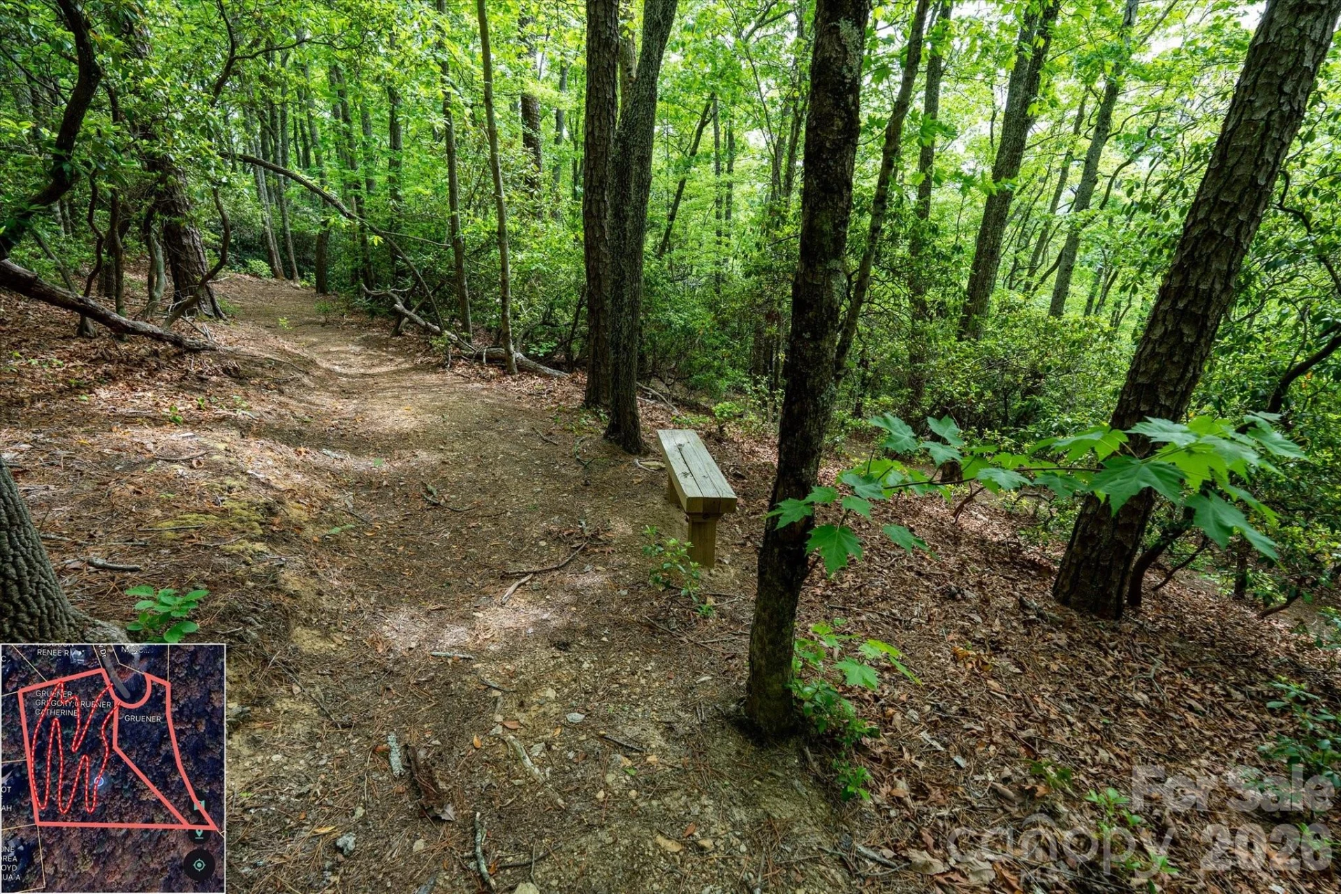 9999 North Fork Road #5 & 6 - Photo 14