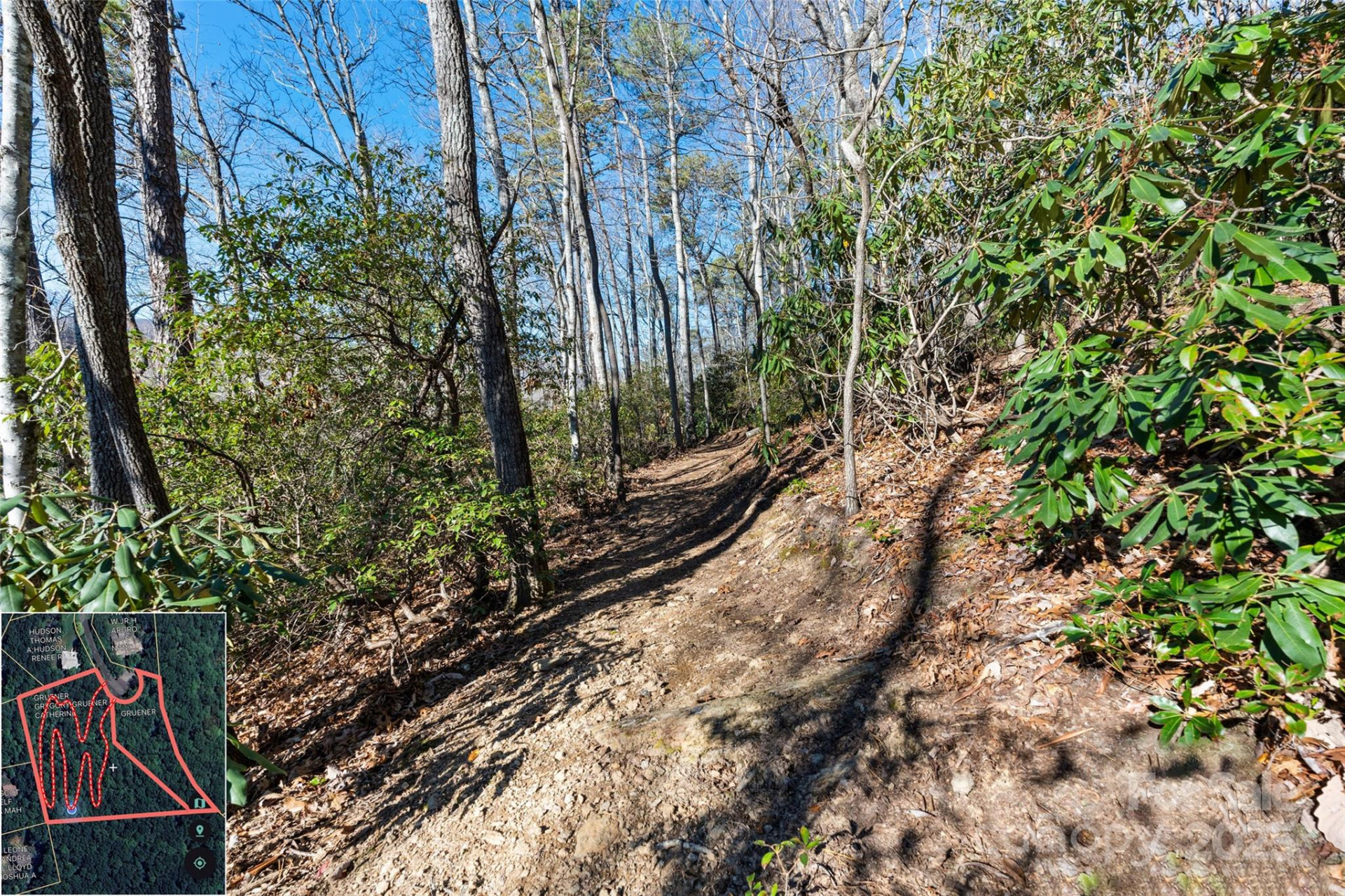 9999 North Fork Road #5 & 6 - Photo 15