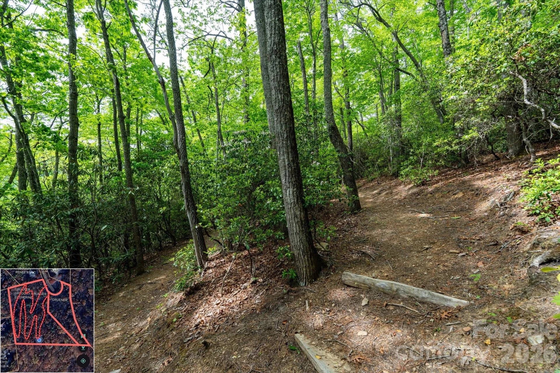 9999 North Fork Road #5 & 6 - Photo 15