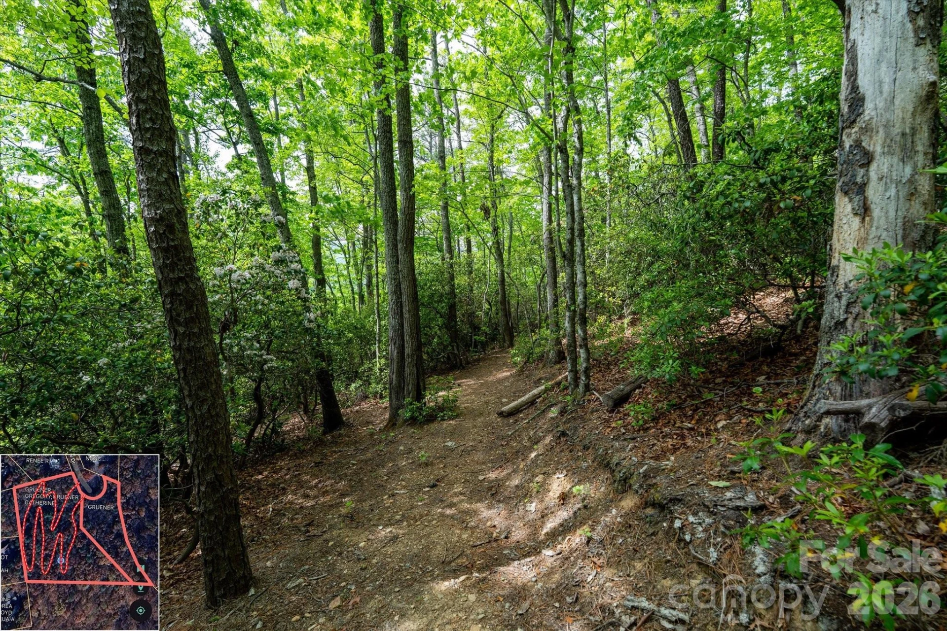 9999 North Fork Road #5 & 6 - Photo 16