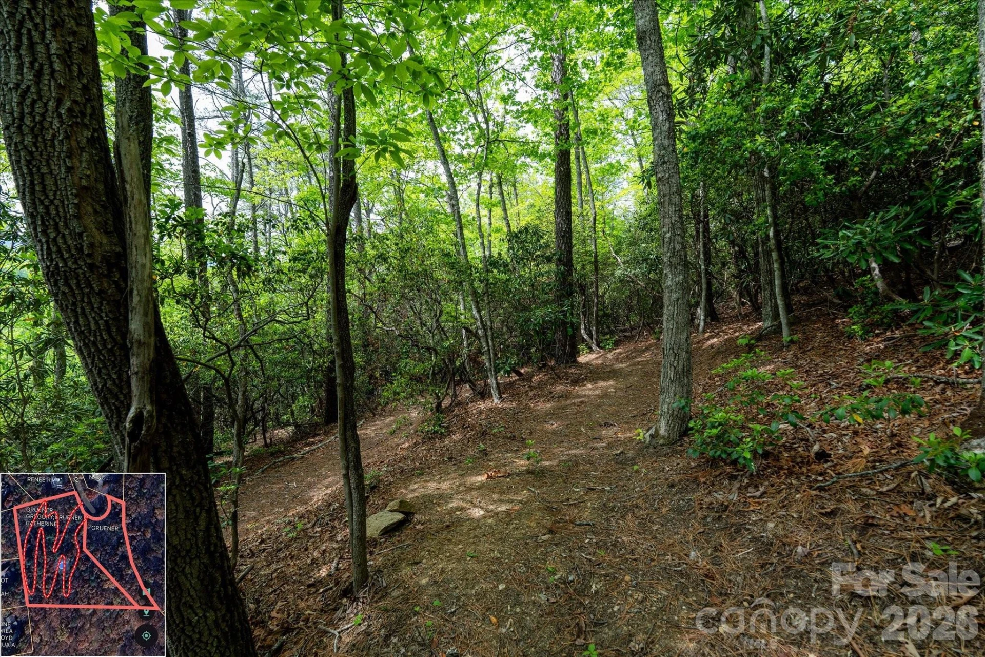 9999 North Fork Road #5 & 6 - Photo 17