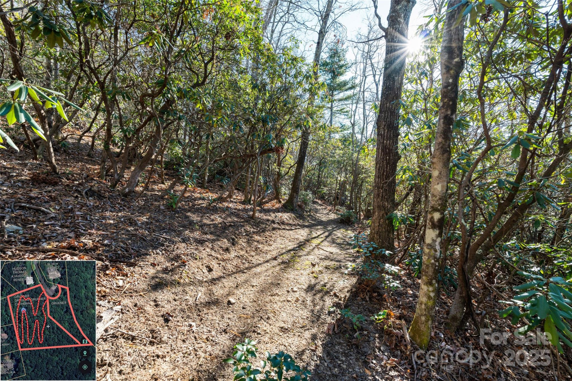 9999 North Fork Road #5 & 6 - Photo 18