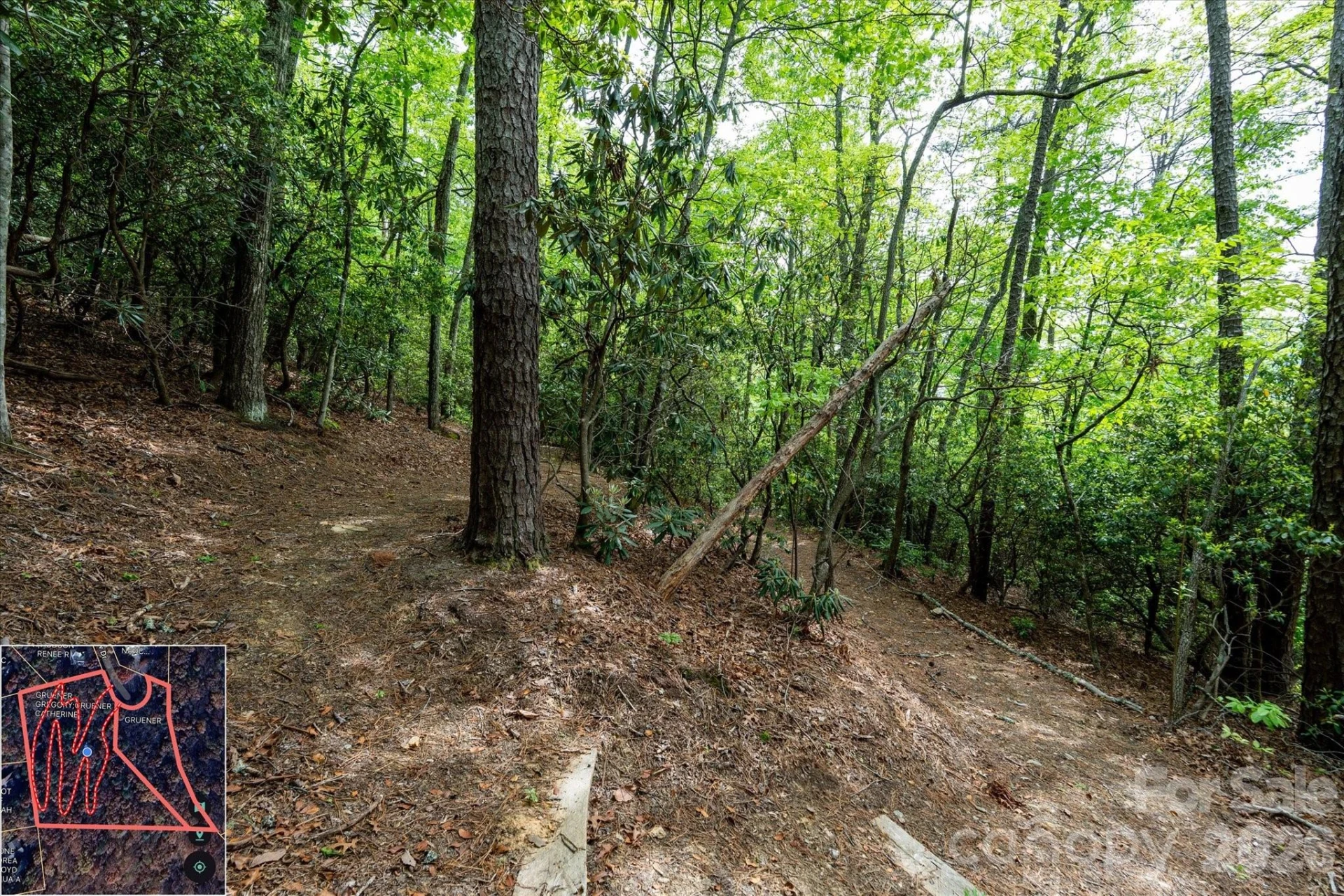 9999 North Fork Road #5 & 6 - Photo 18