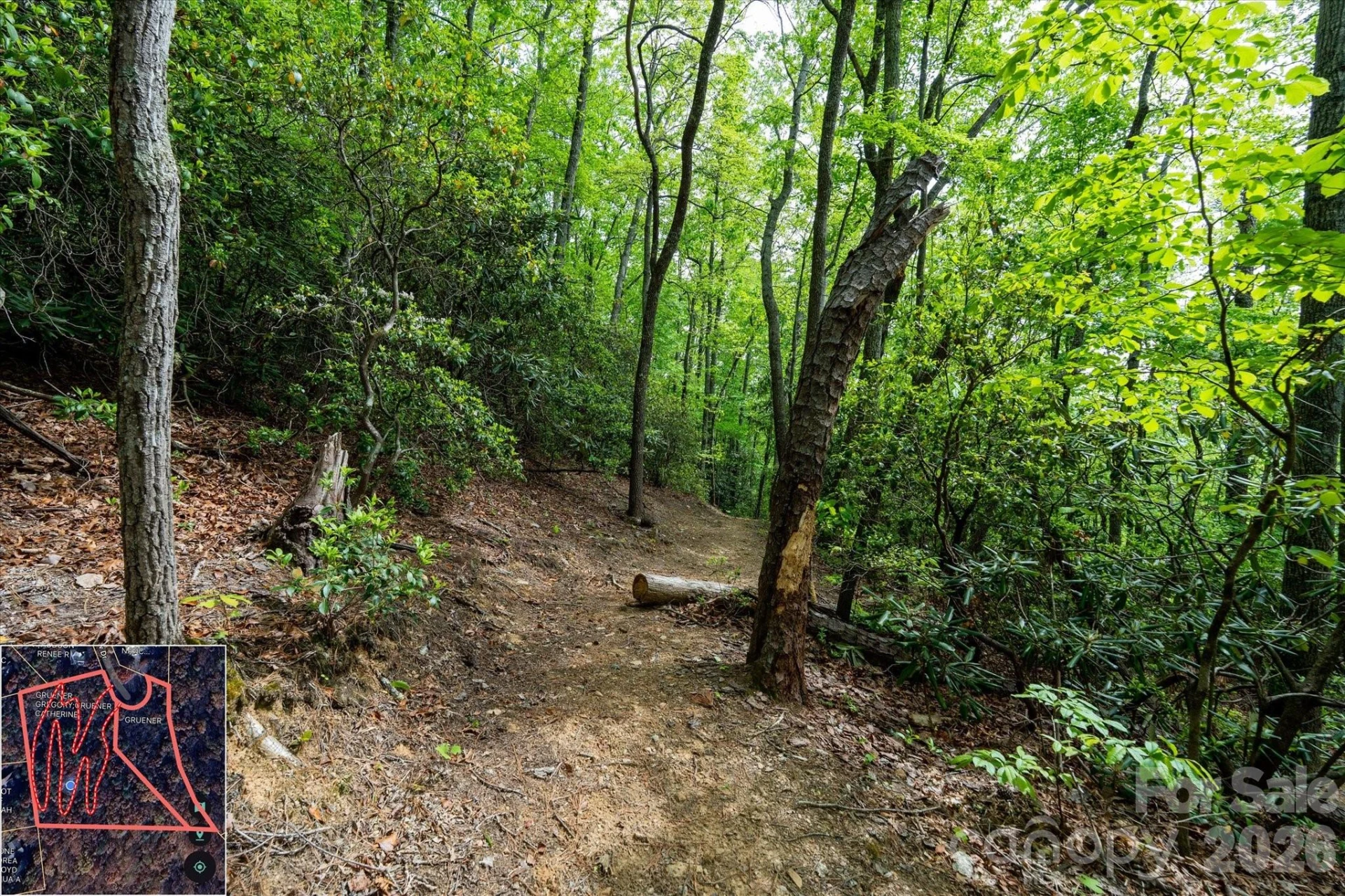 9999 North Fork Road #5 & 6 - Photo 19