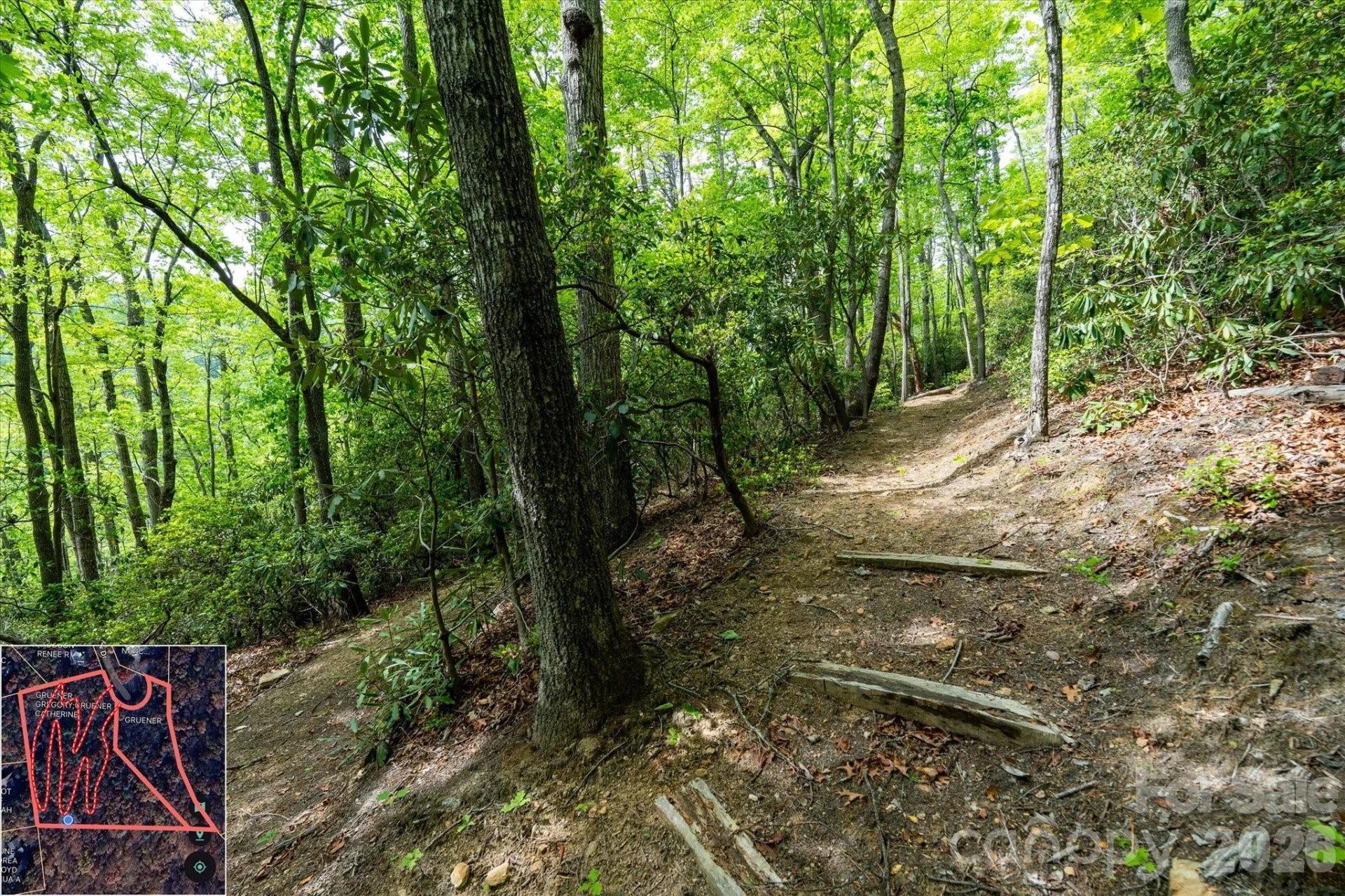 9999 North Fork Road #5 & 6 - Photo 20