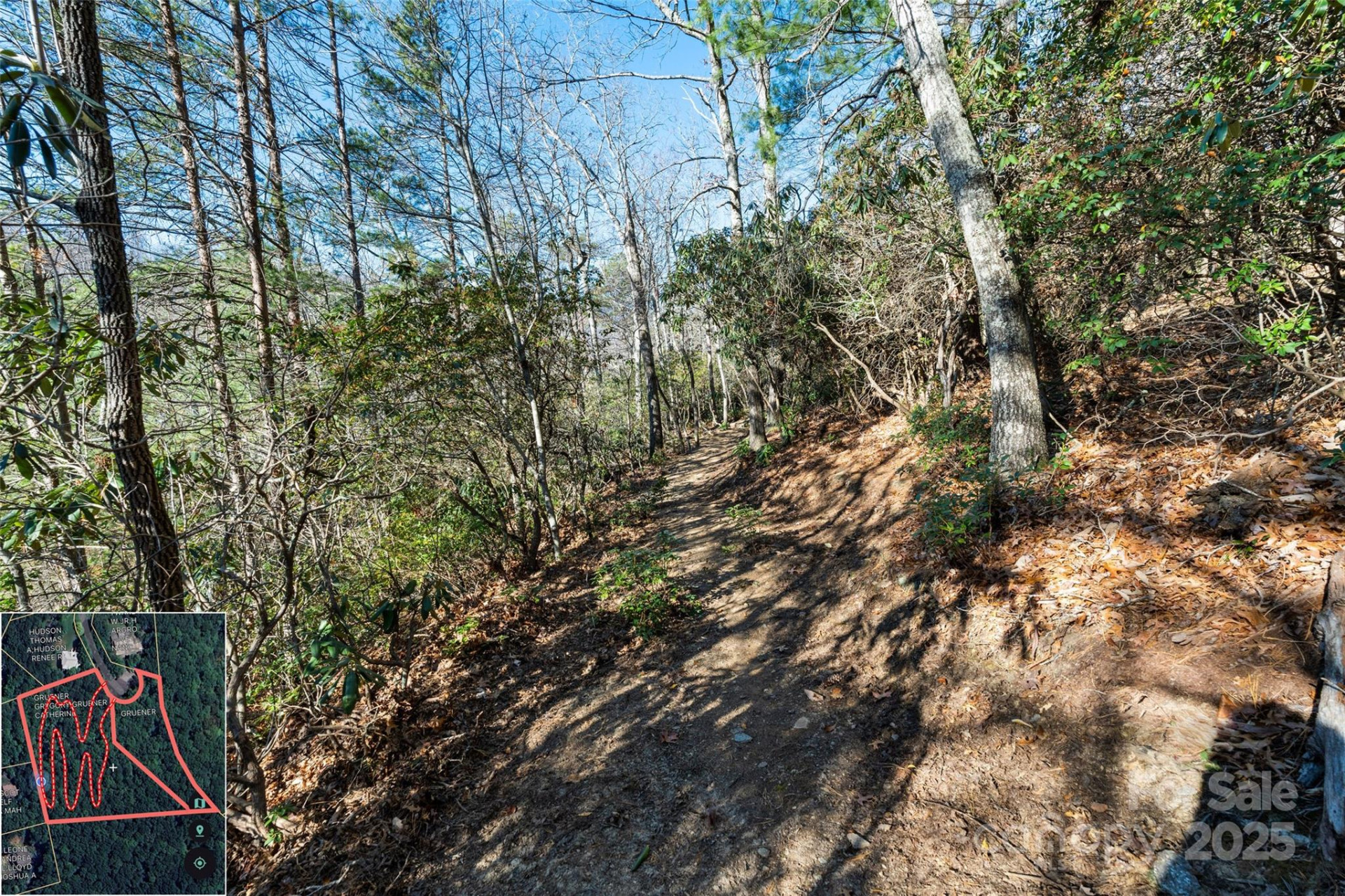 9999 North Fork Road #5 & 6 - Photo 21