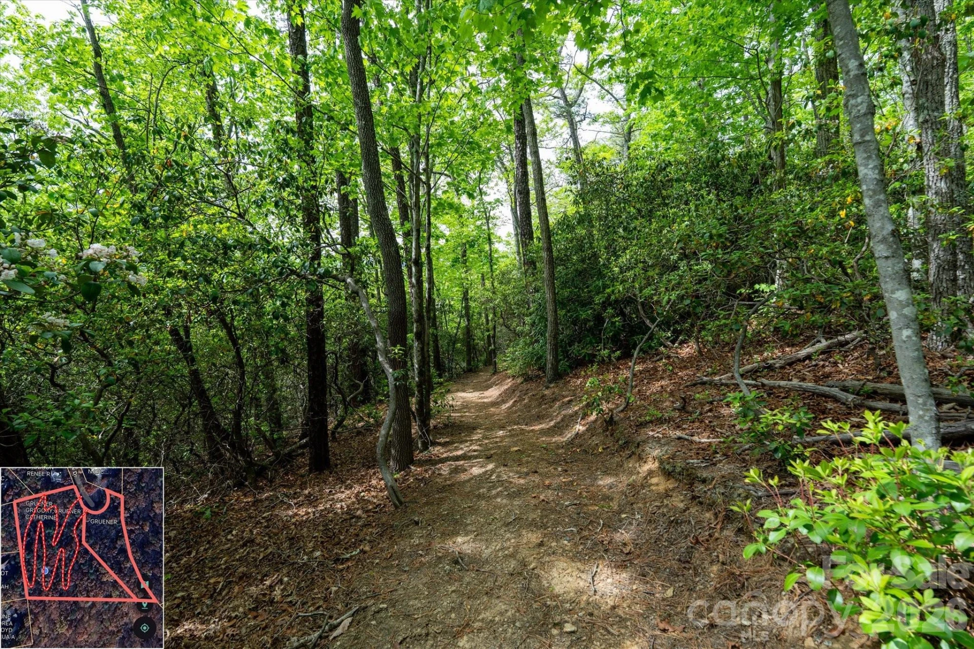 9999 North Fork Road #5 & 6 - Photo 21