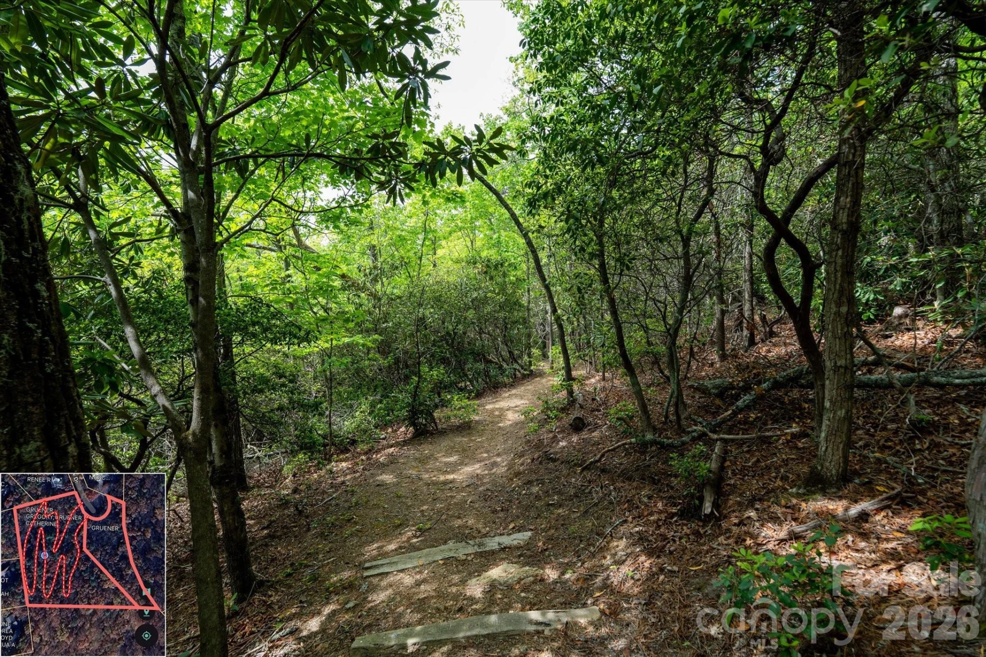 9999 North Fork Road #5 & 6 - Photo 22
