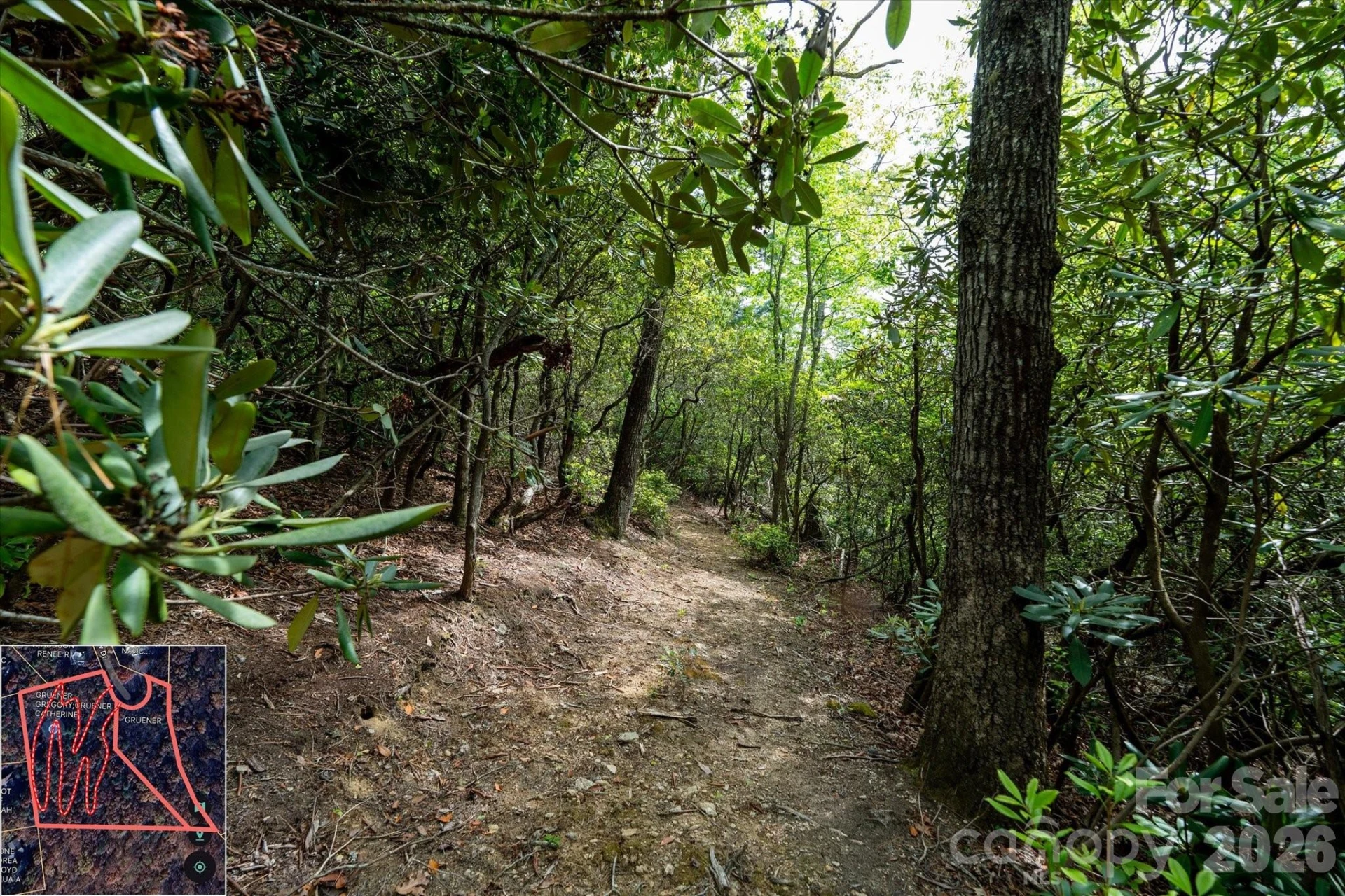 9999 North Fork Road #5 & 6 - Photo 24